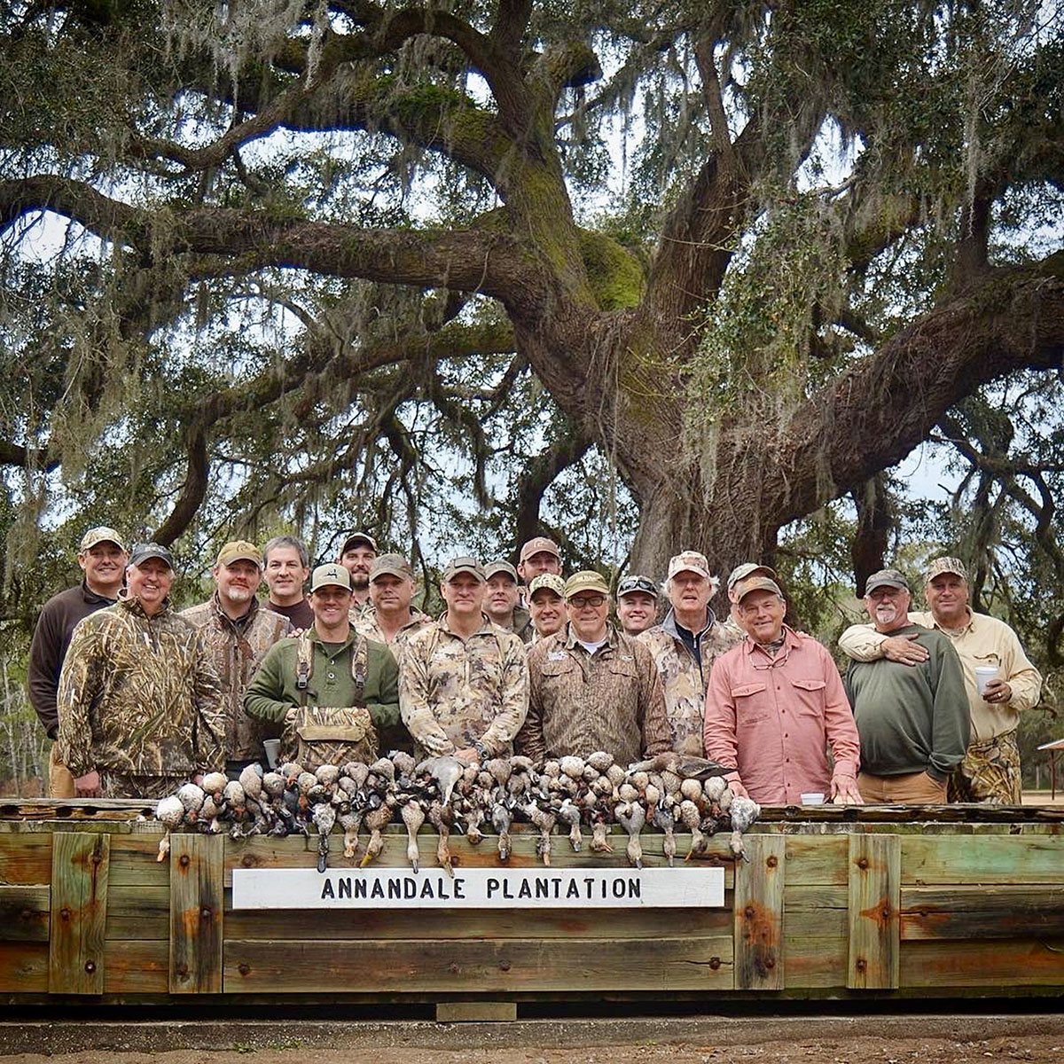 Annandale property picture 2 of 164