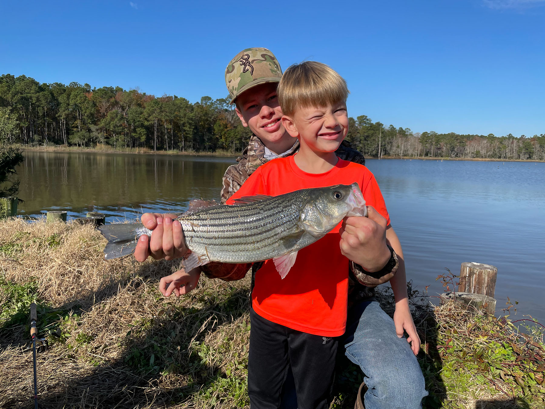 Annandale property picture 69 of 164