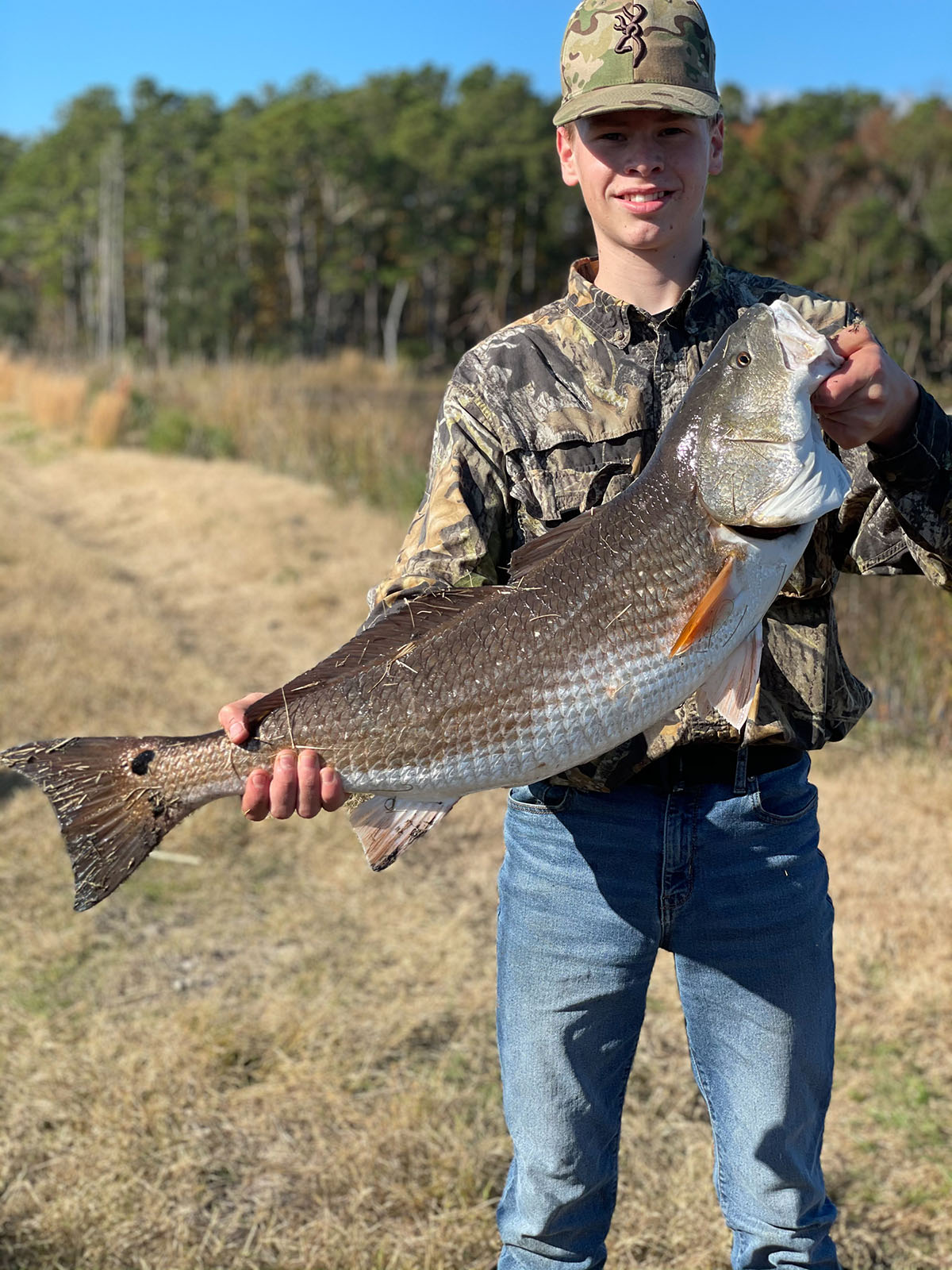 Annandale property picture 27 of 164