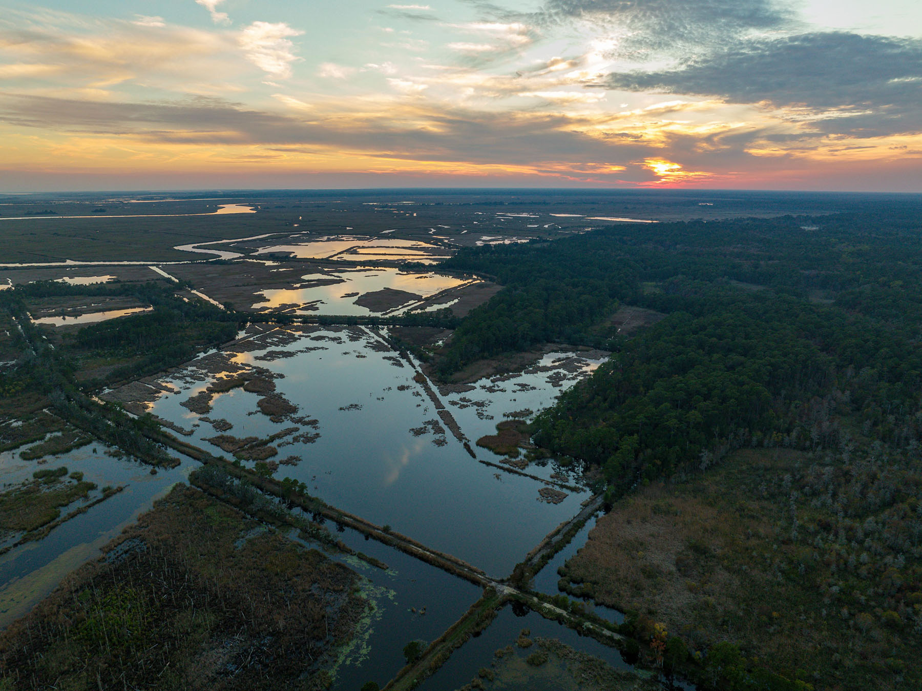 Annandale property picture 19 of 164