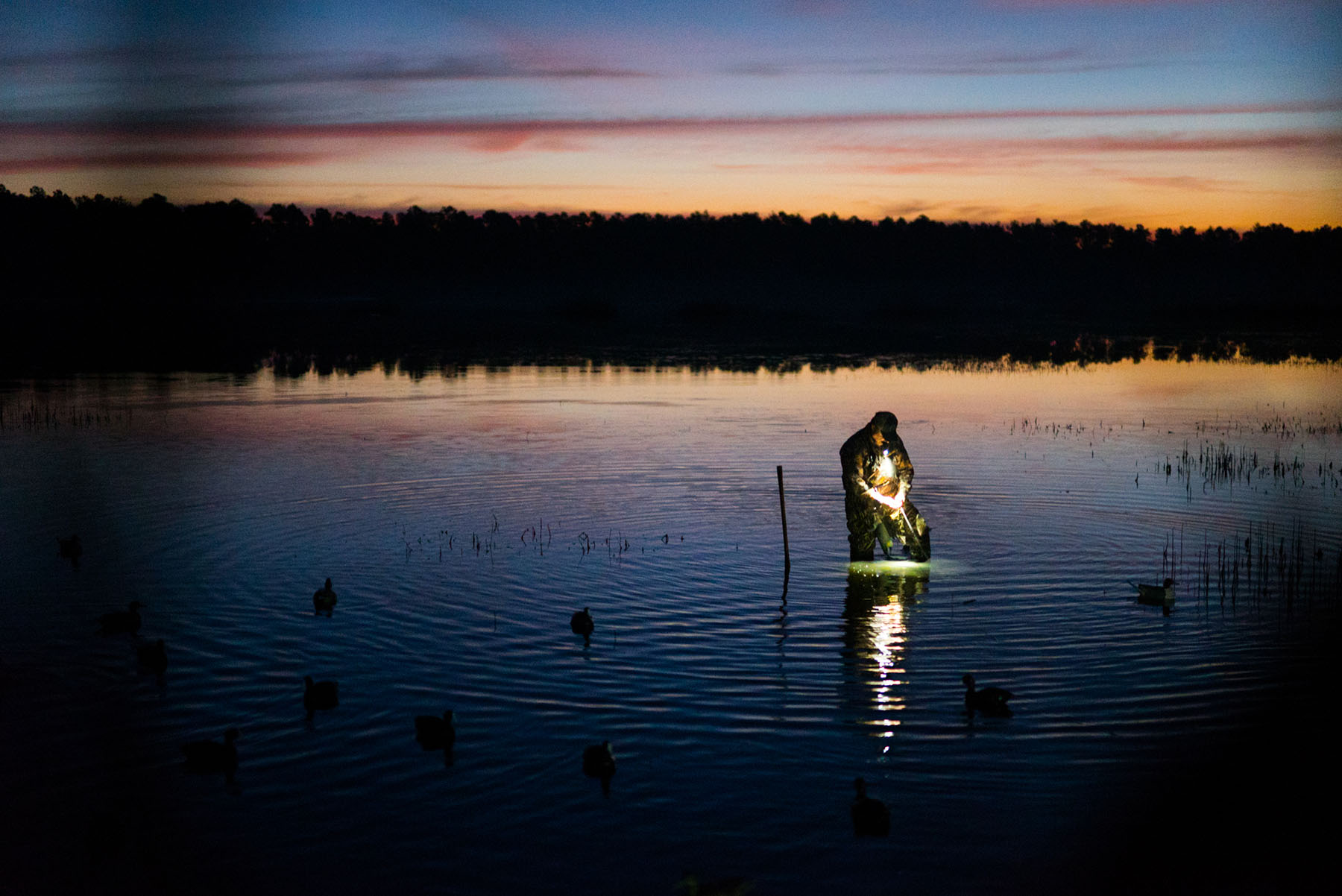 Annandale property picture 73 of 164