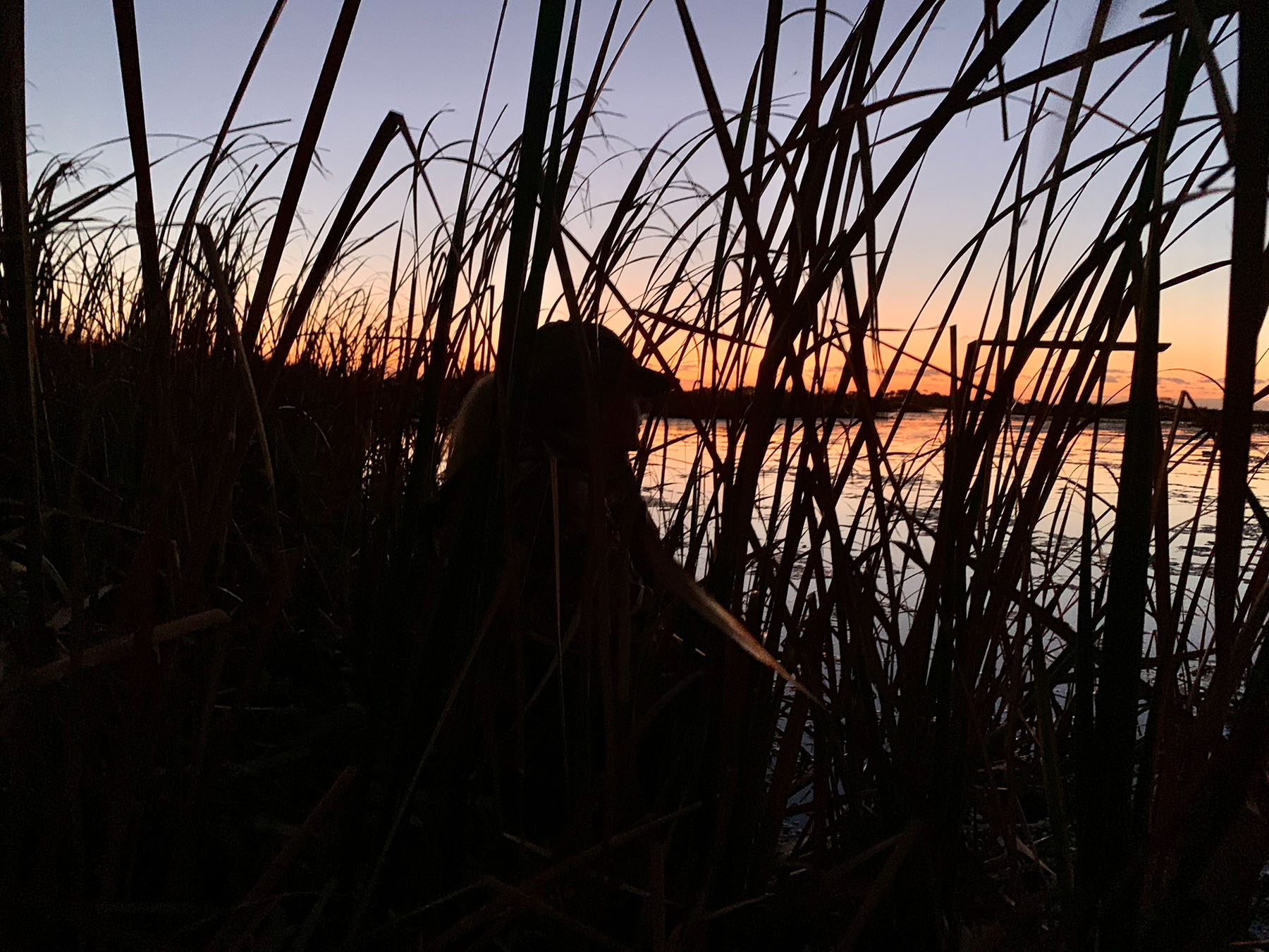 Annandale property picture 54 of 164