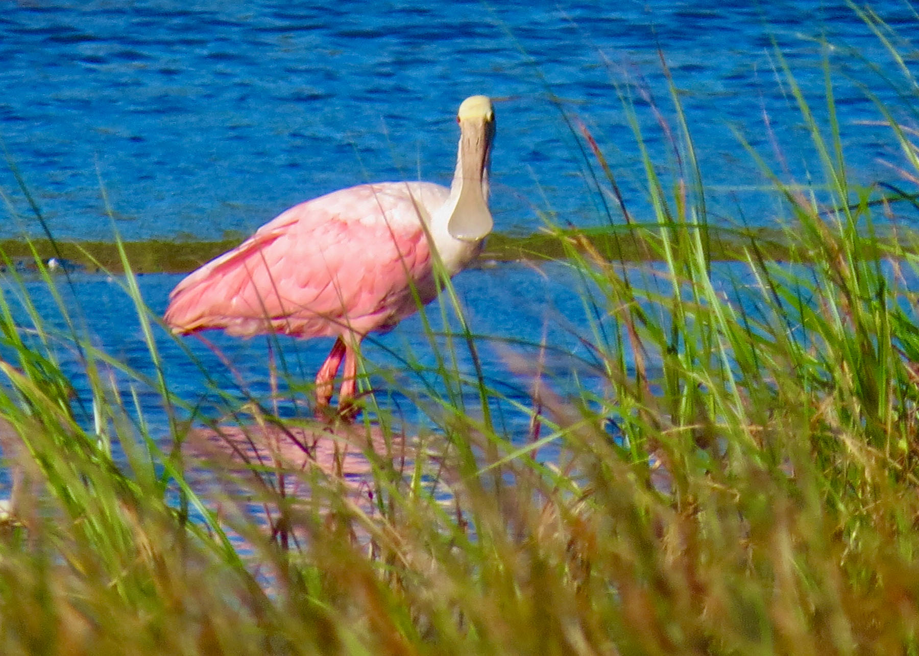 Annandale property picture 61 of 164