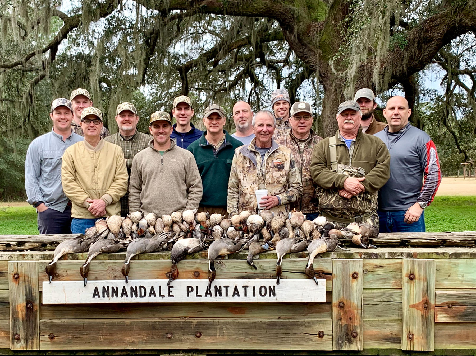 Annandale property picture 13 of 164