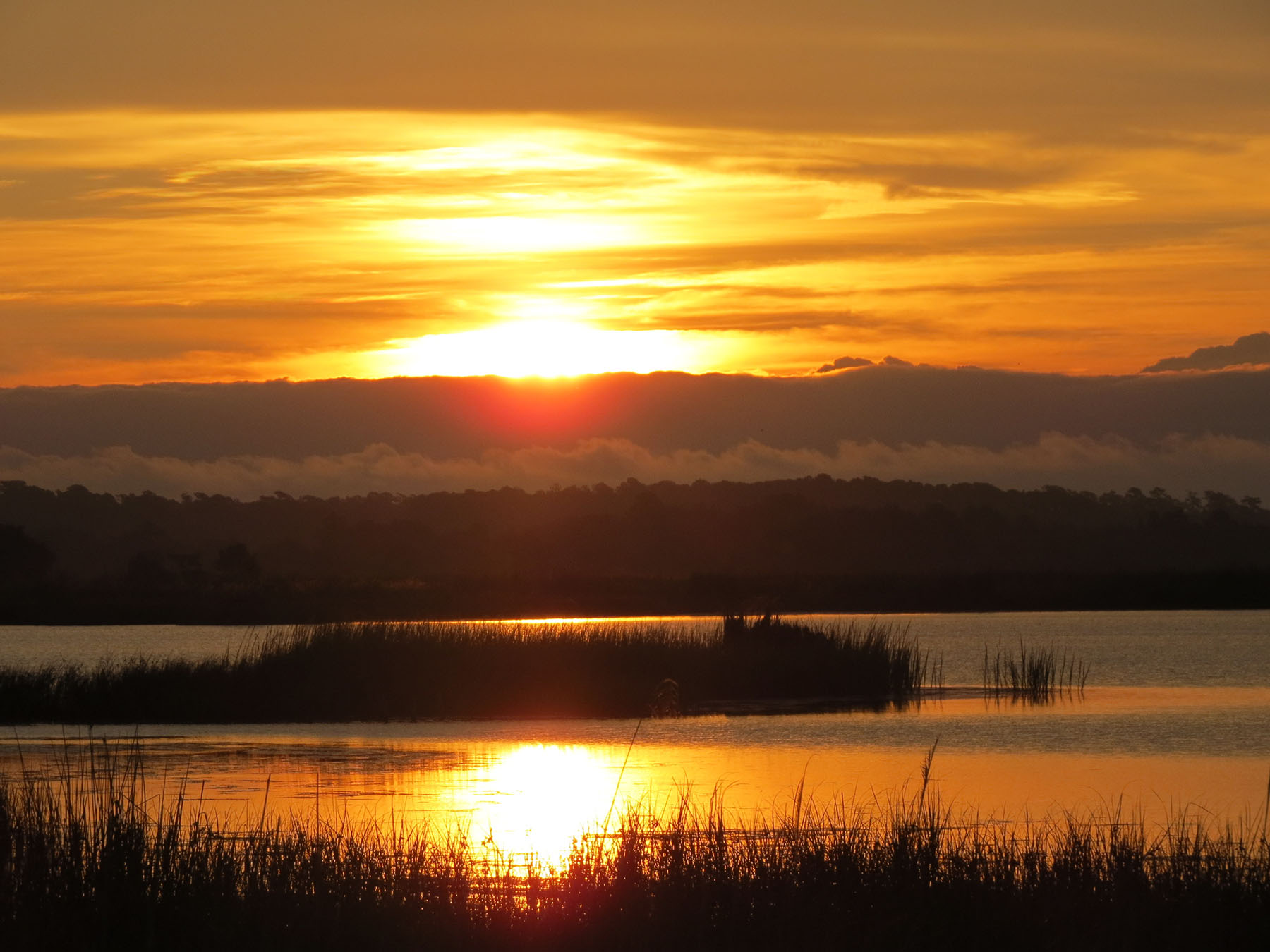 Annandale property picture 82 of 164