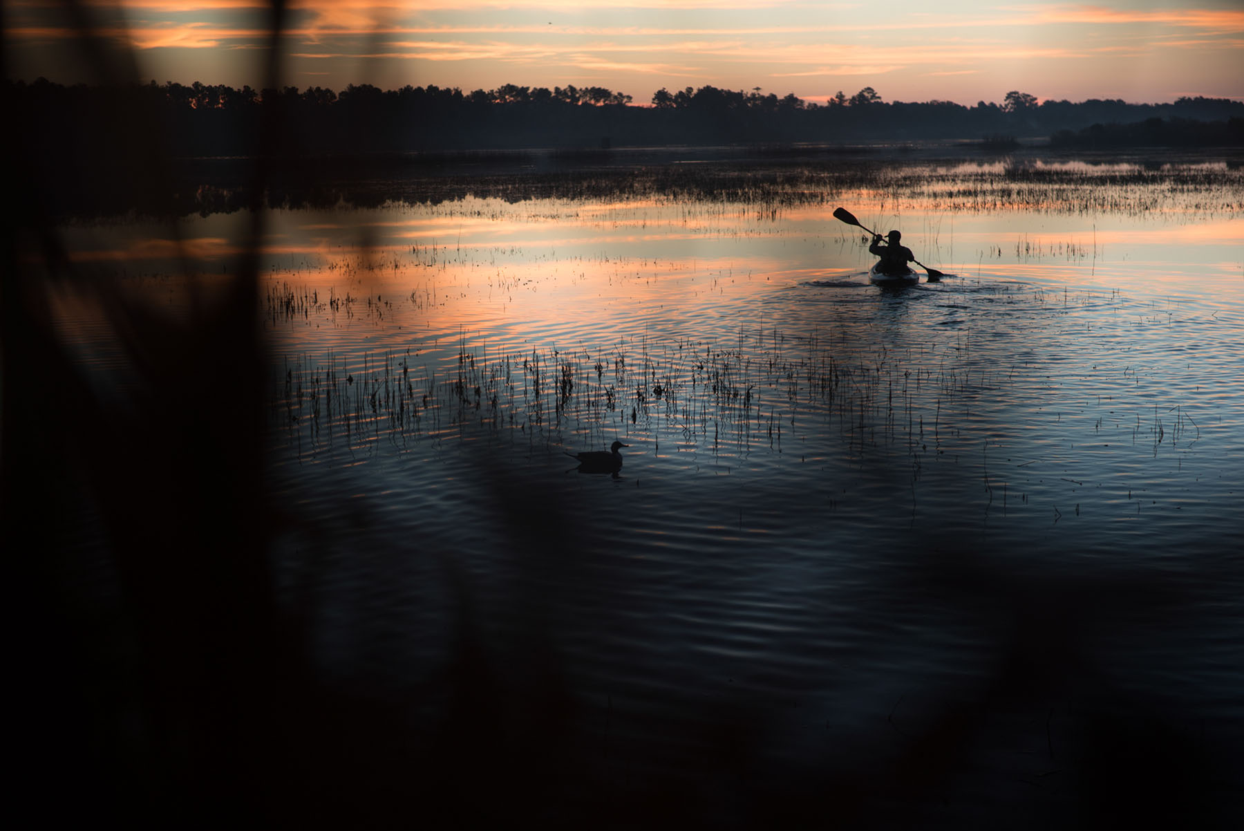 Annandale property picture 3 of 164