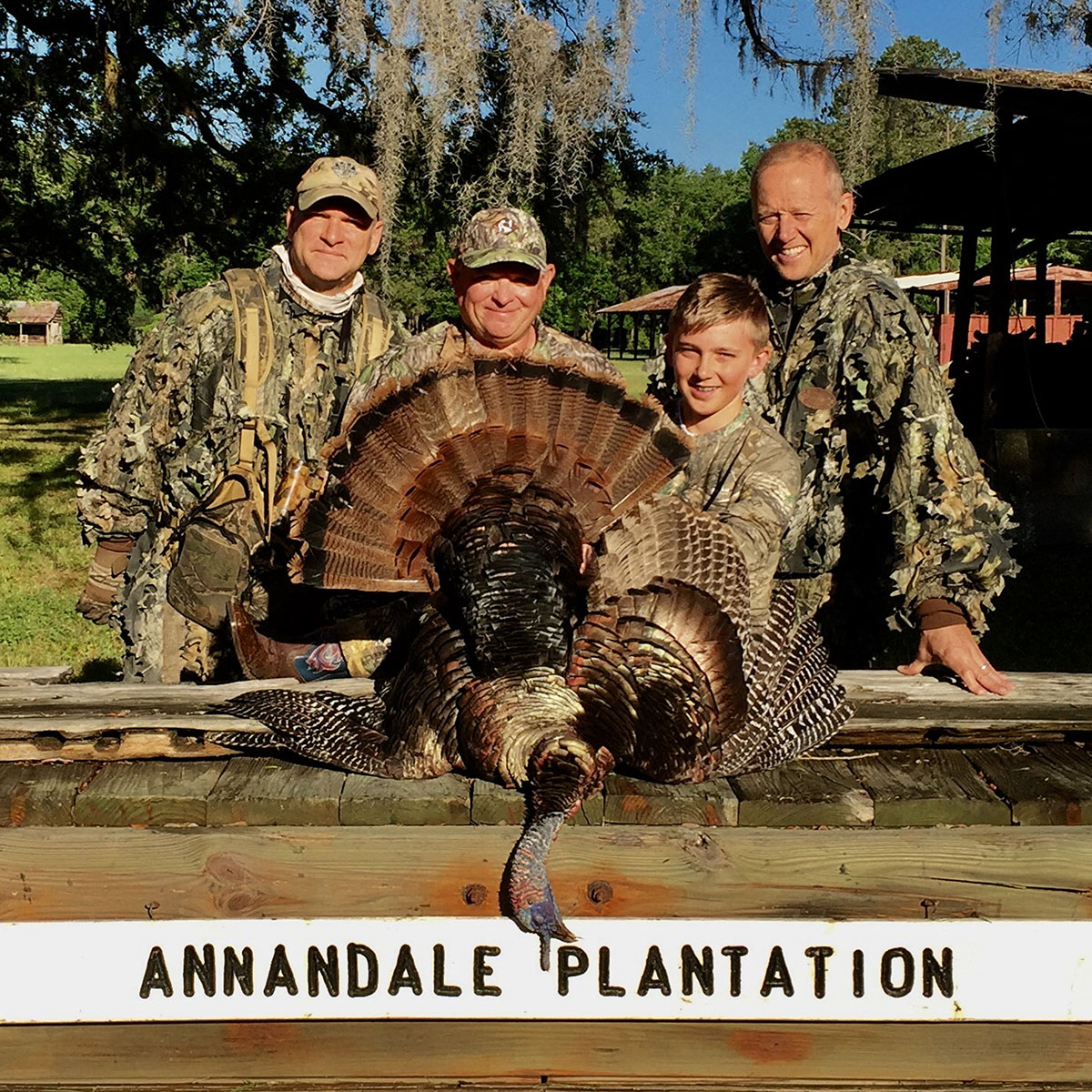 Annandale property picture 25 of 164