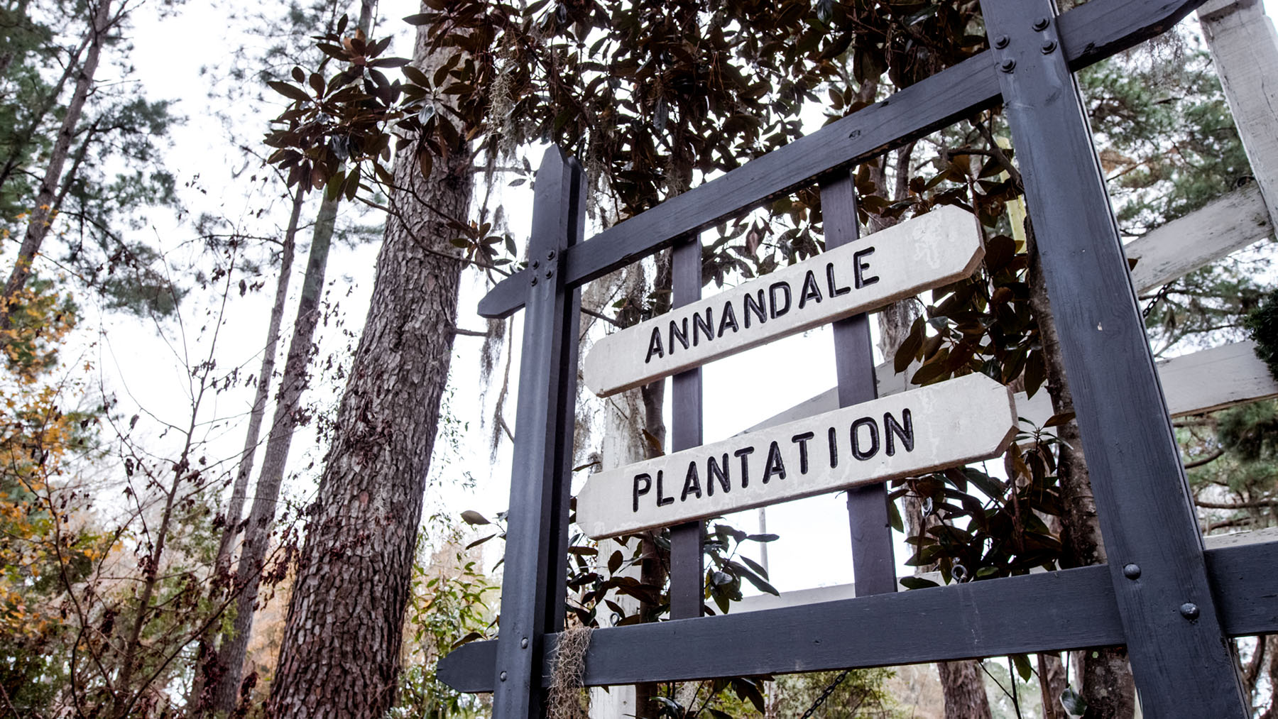 Annandale property picture 68 of 164