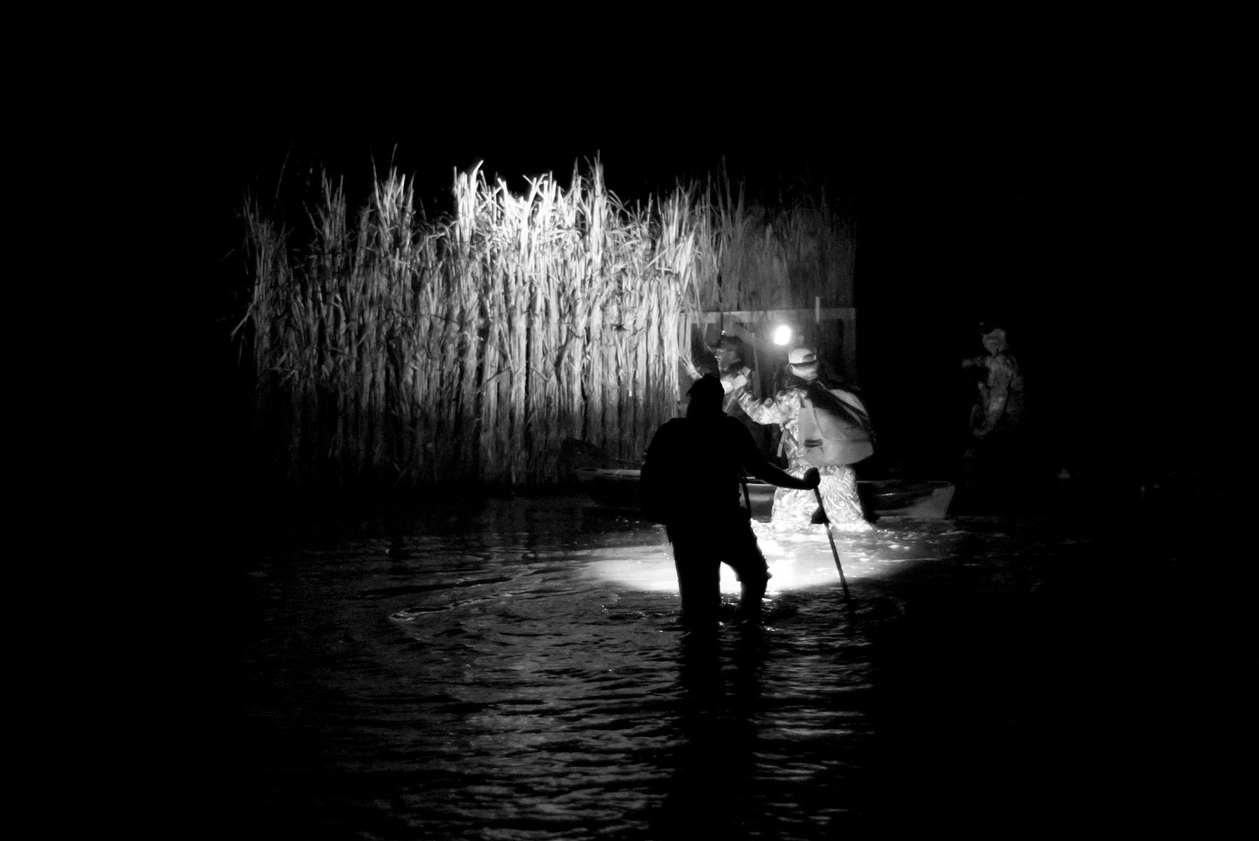 Annandale property picture 11 of 164