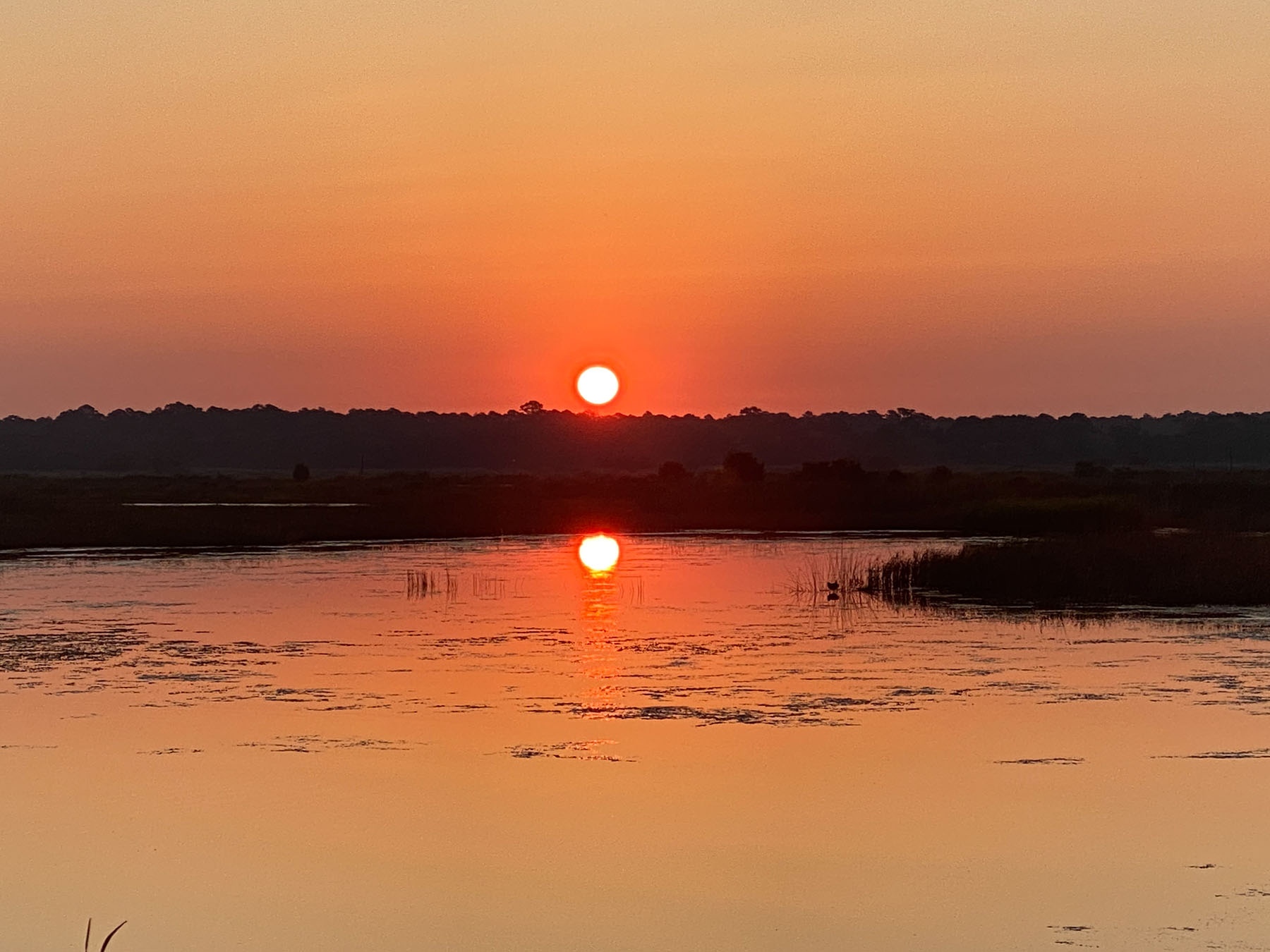 Annandale property picture 55 of 164