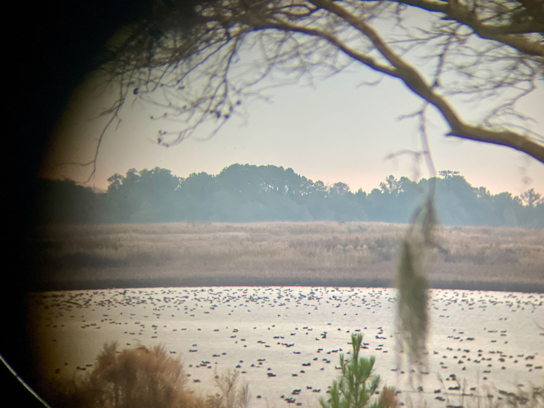 Annandale property picture 44 of 164