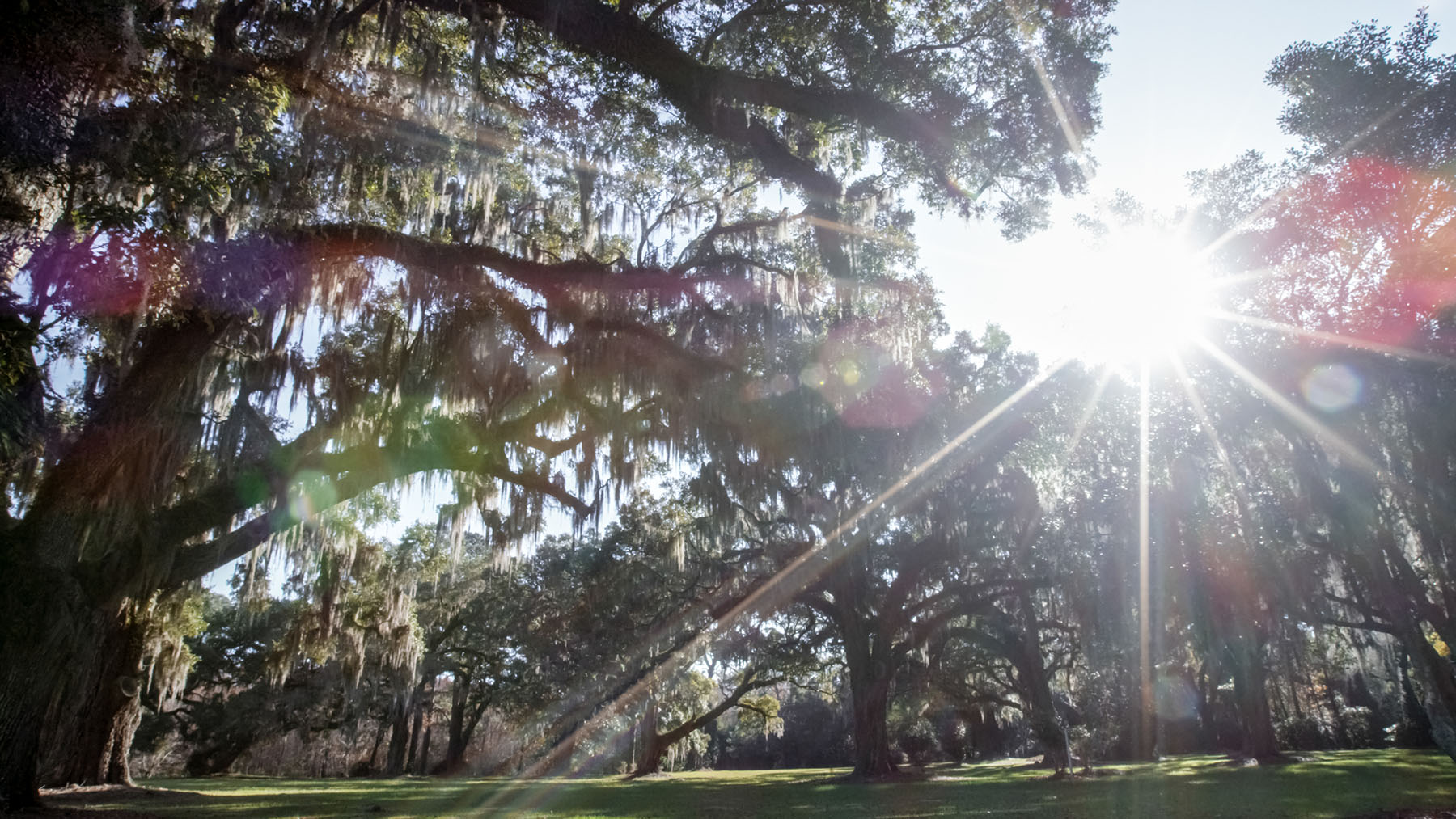 Annandale property picture 8 of 164