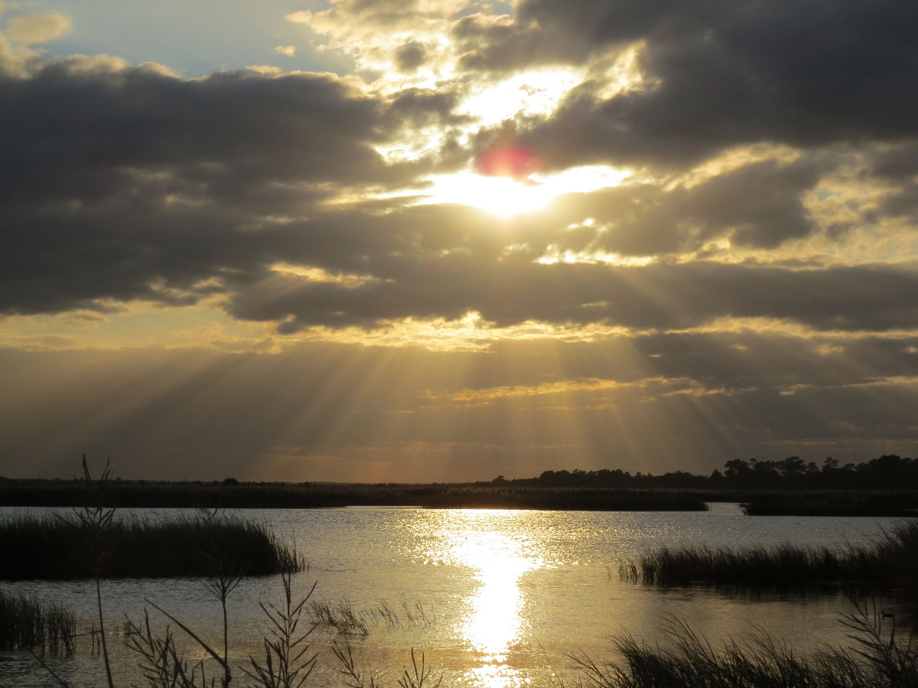 Annandale property picture 6 of 164