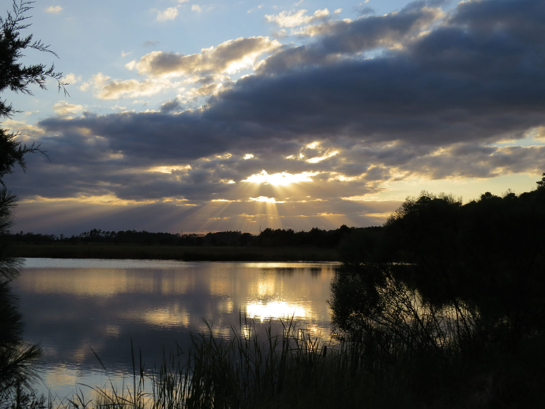 Annandale property picture 80 of 164