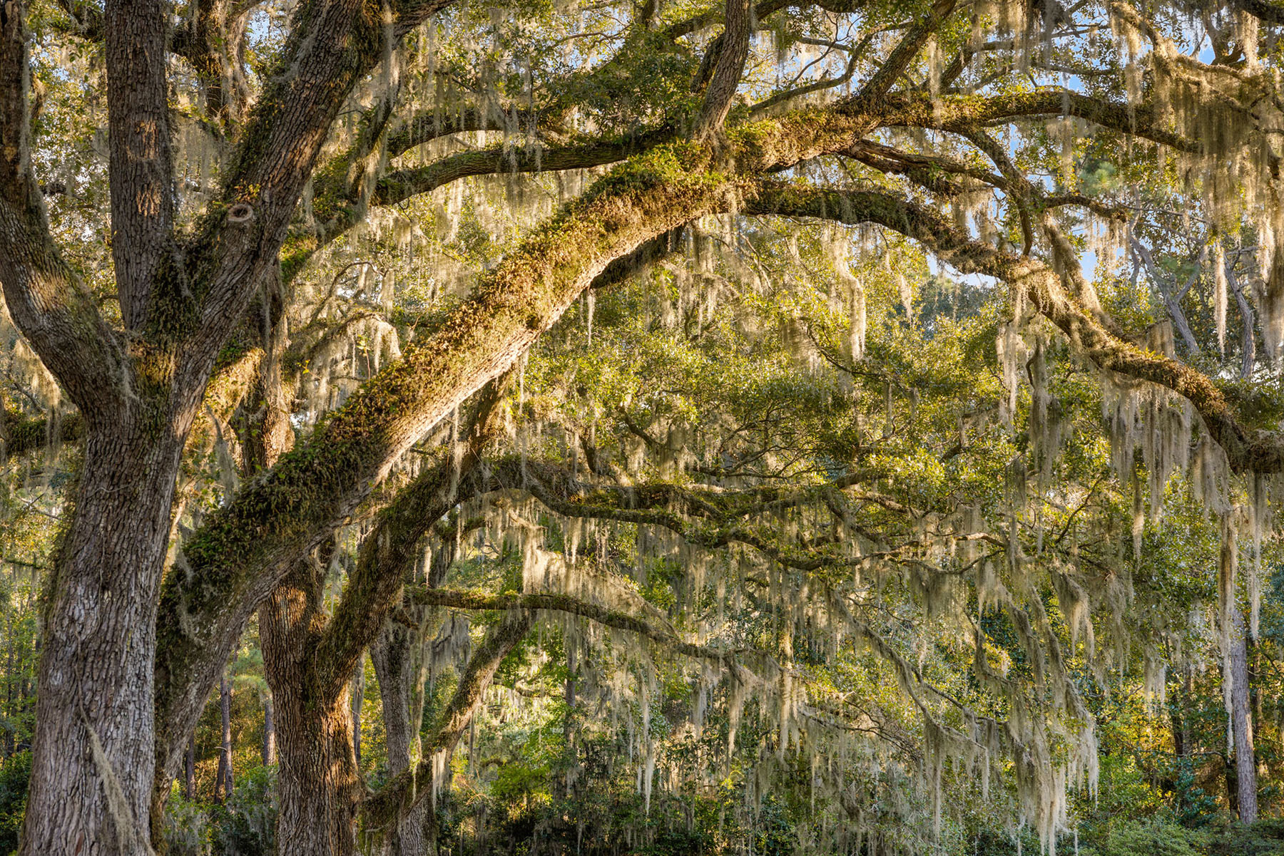 Annandale property picture 108 of 164