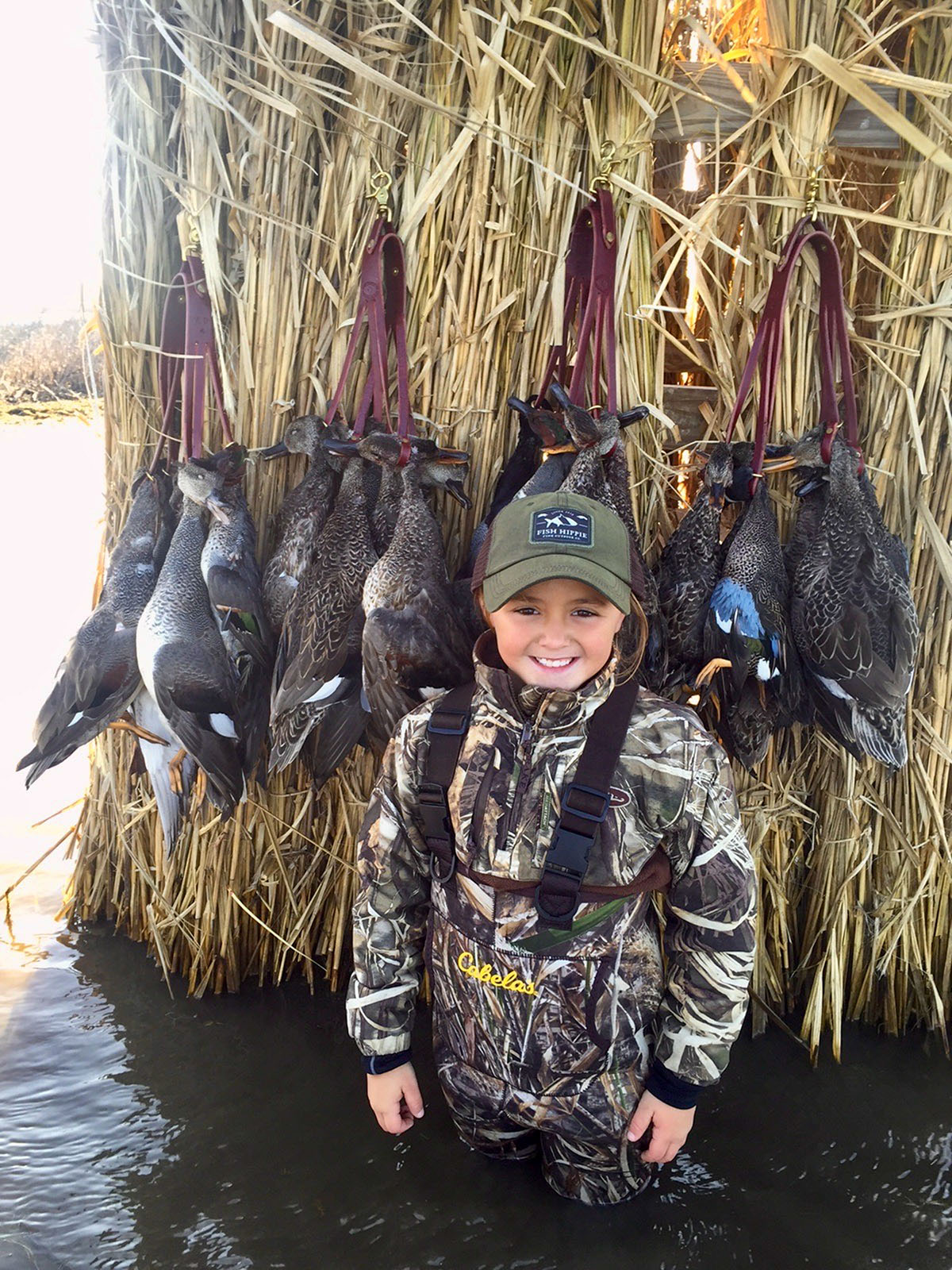 Annandale property picture 15 of 164