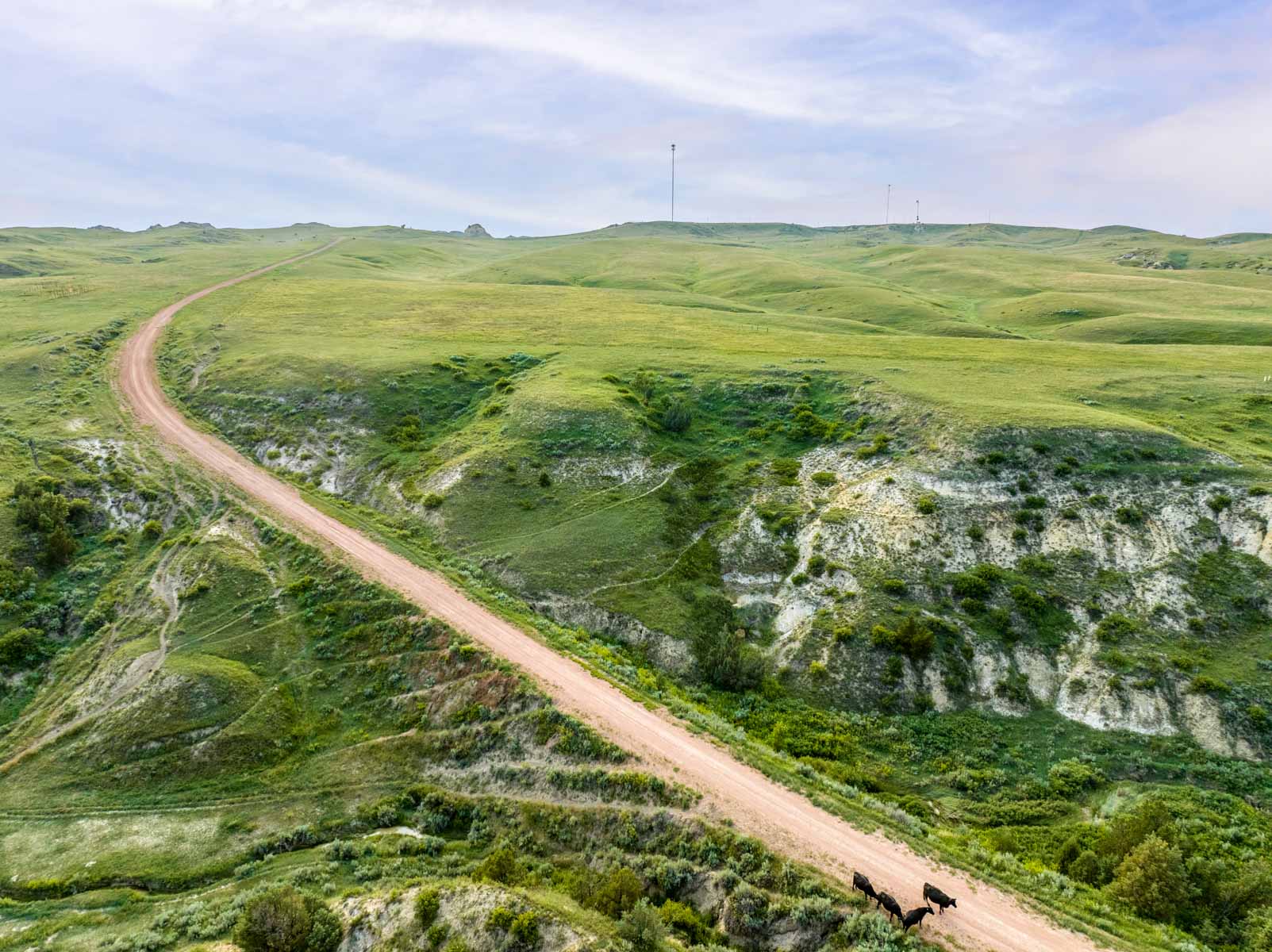 Lower Yellowstone Ranch property picture 21 of 30