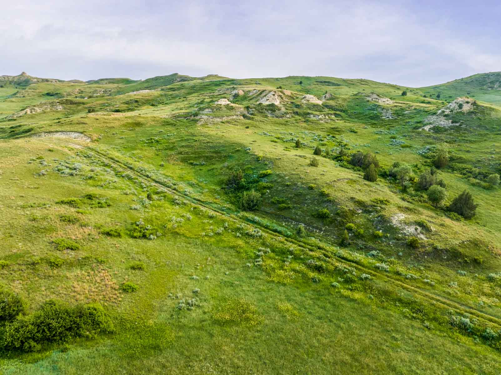 Lower Yellowstone Ranch property picture 22 of 30