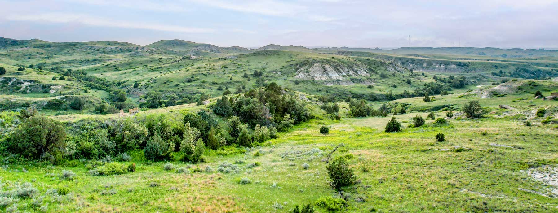 Lower Yellowstone Ranch property picture 2 of 30