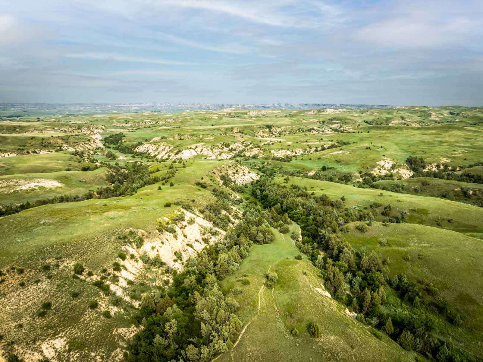 Lower Yellowstone Ranch property picture 3 of 30