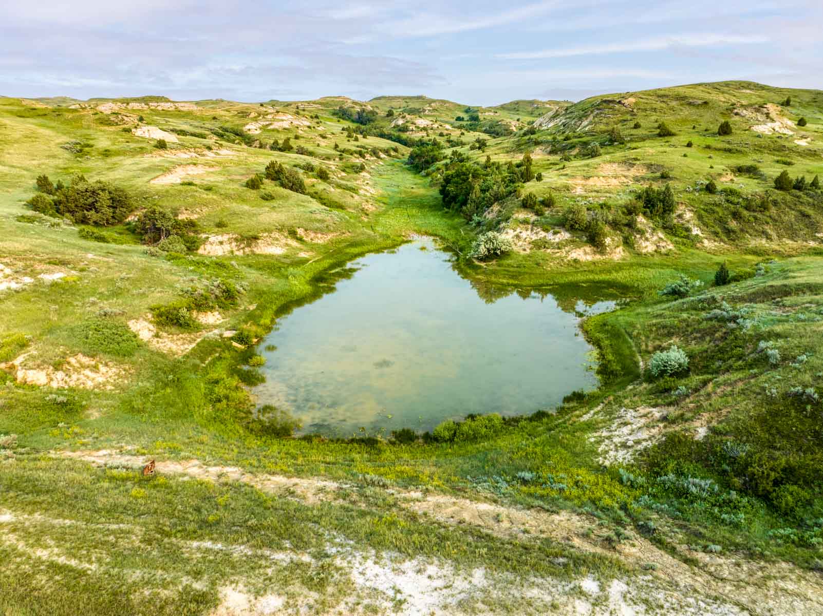 Lower Yellowstone Ranch property picture 27 of 30
