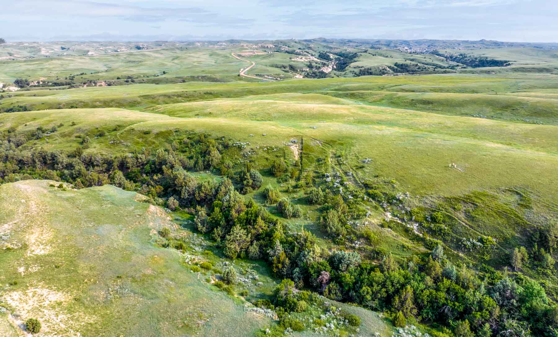 Lower Yellowstone Ranch property picture 8 of 30