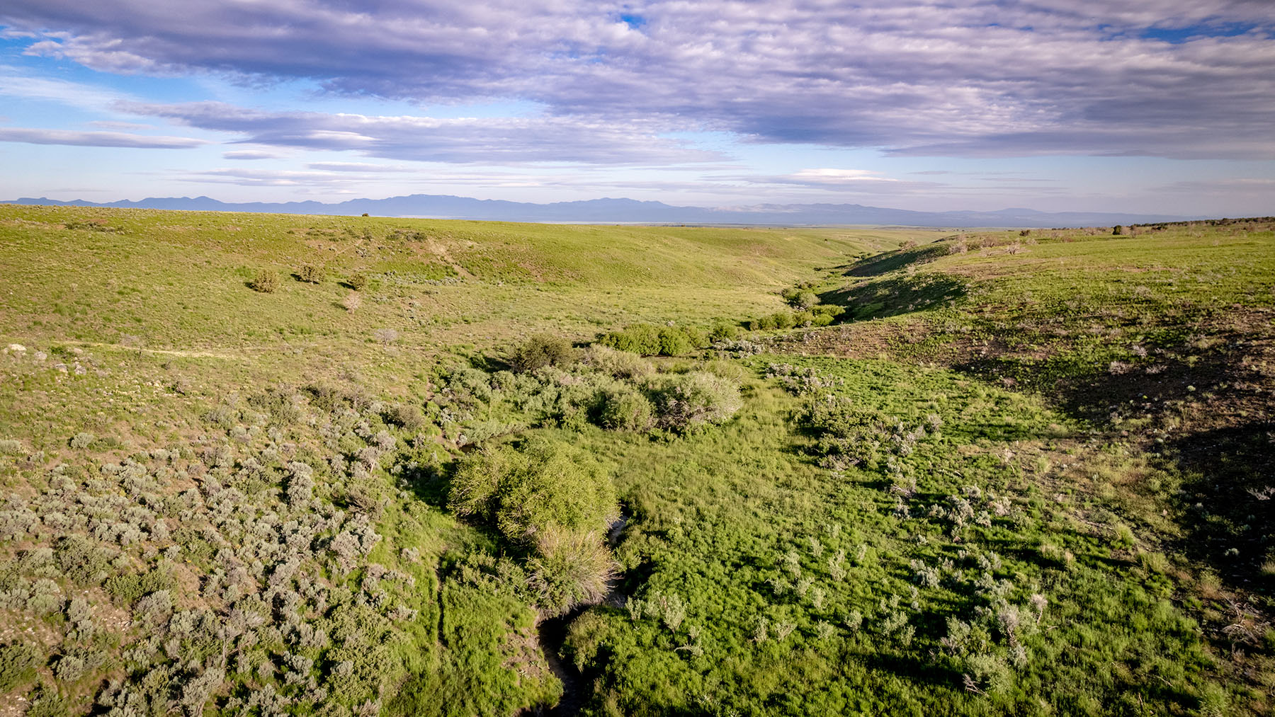 Triangle L Ranch property picture 18 of 40