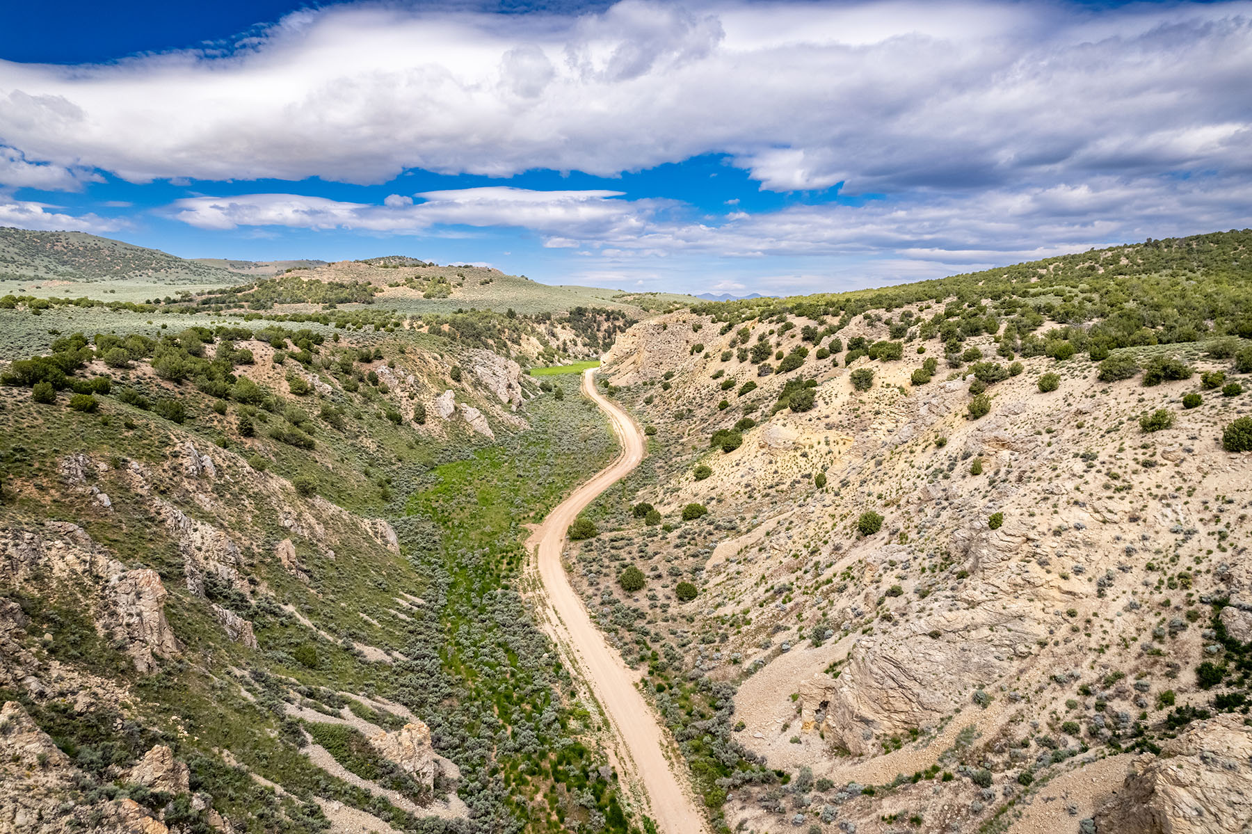 Triangle L Ranch property picture 32 of 40