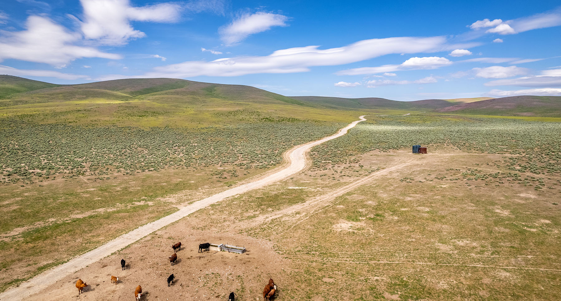 Triangle L Ranch property picture 27 of 40