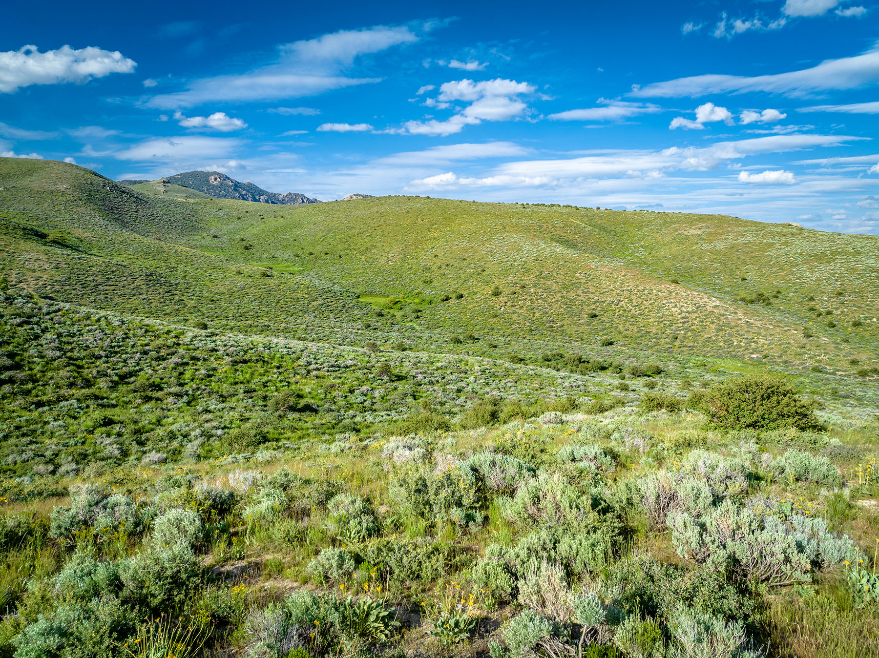 Triangle L Ranch property picture 36 of 40