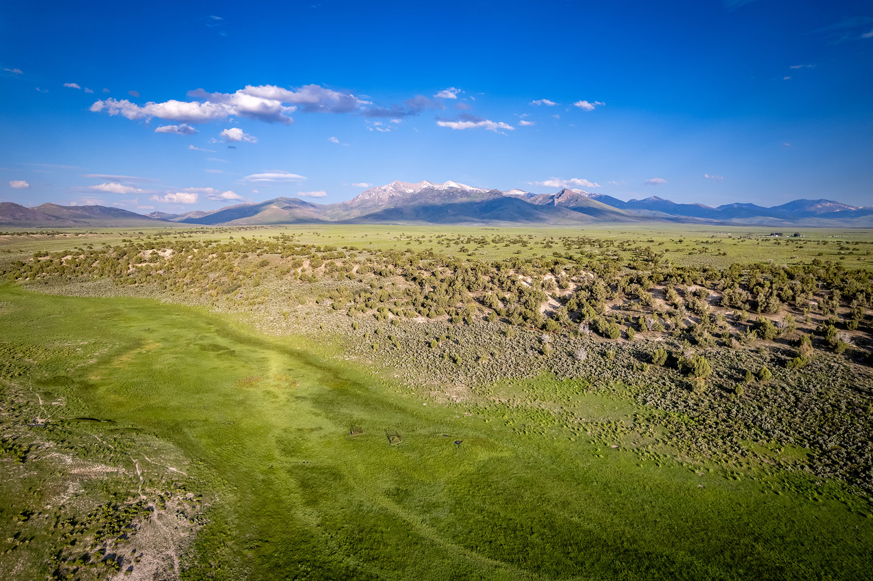 Triangle L Ranch property picture 19 of 40