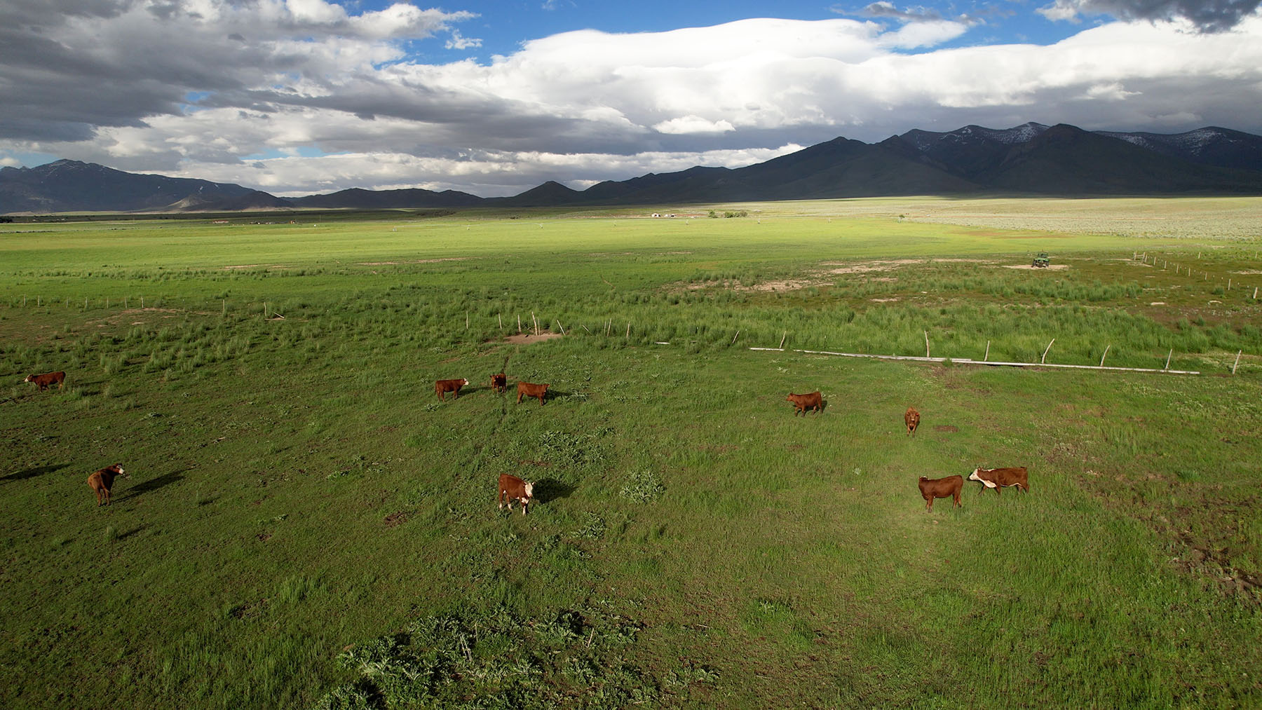 Triangle L Ranch property picture 3 of 40