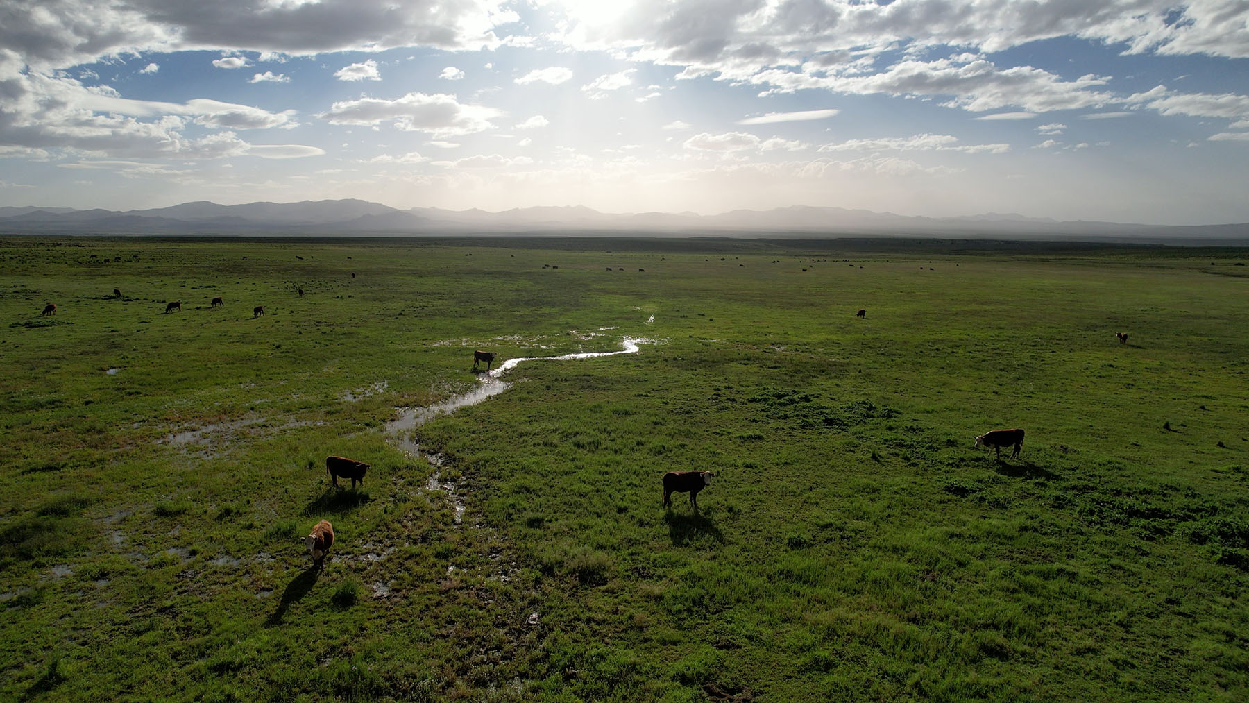 Triangle L Ranch property picture 7 of 40