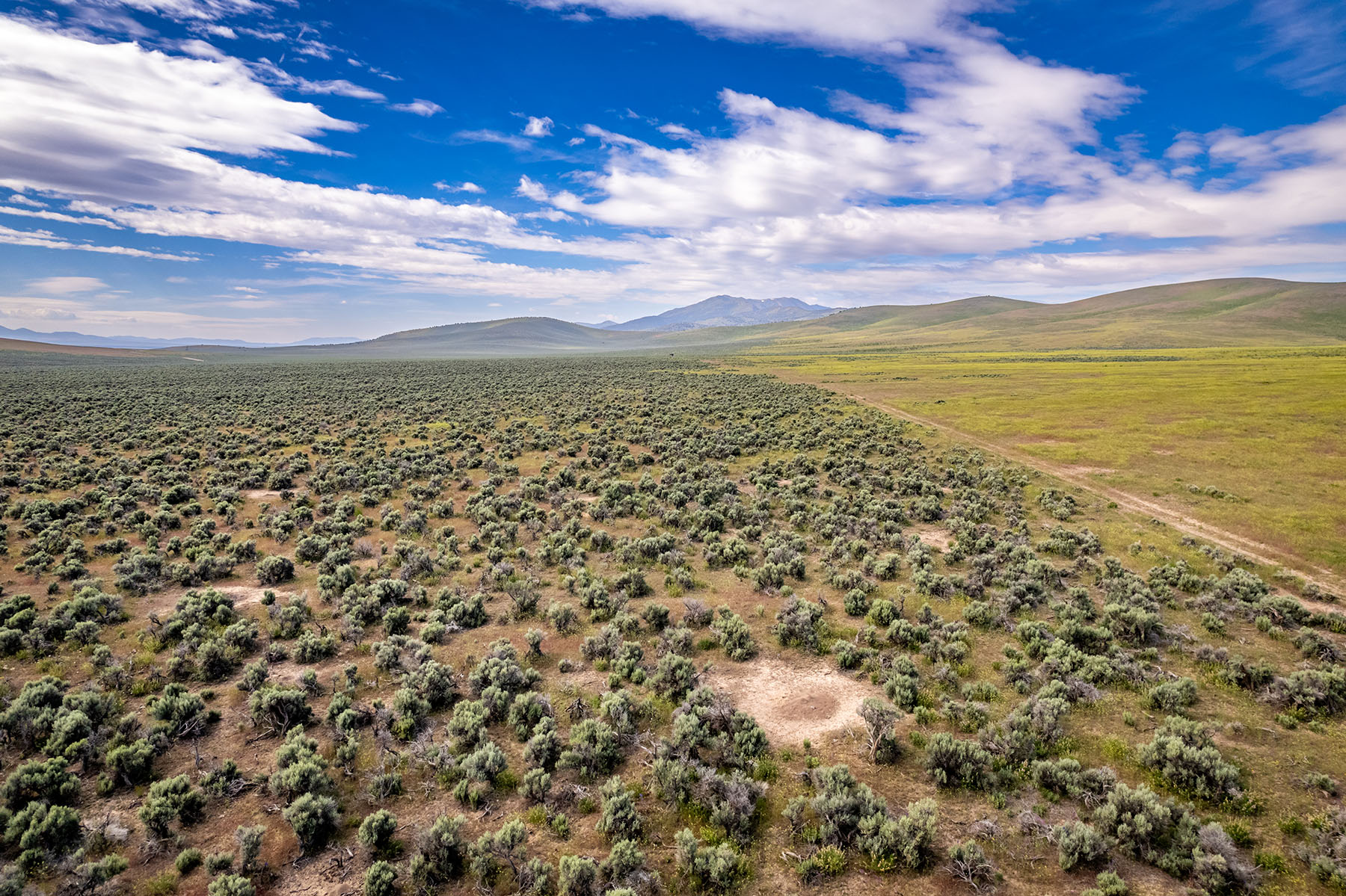 Triangle L Ranch property picture 25 of 40