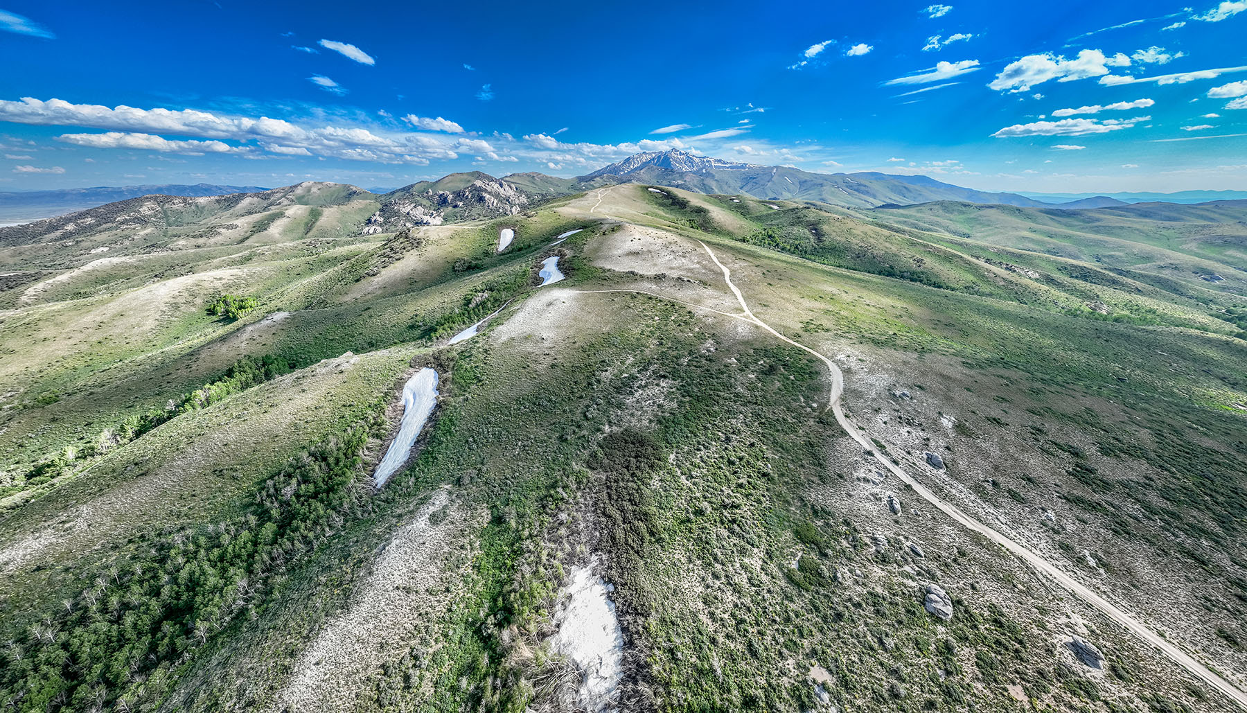 Triangle L Ranch property picture 30 of 40