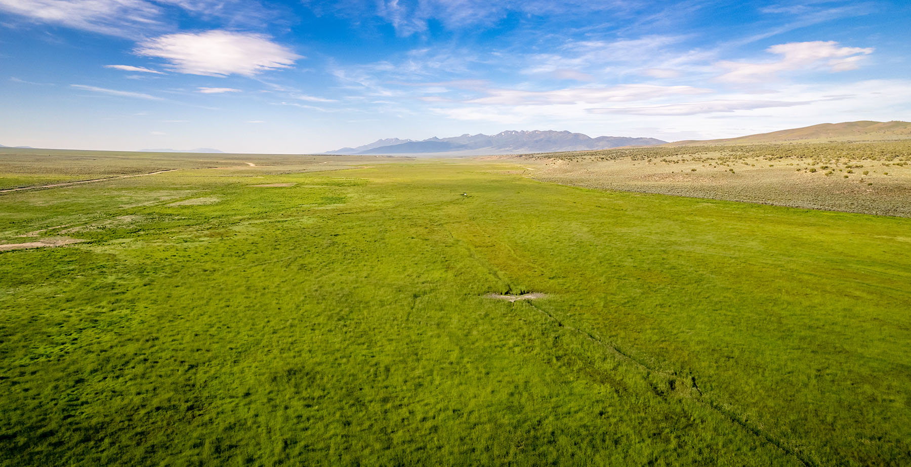 Triangle L Ranch property picture 23 of 40