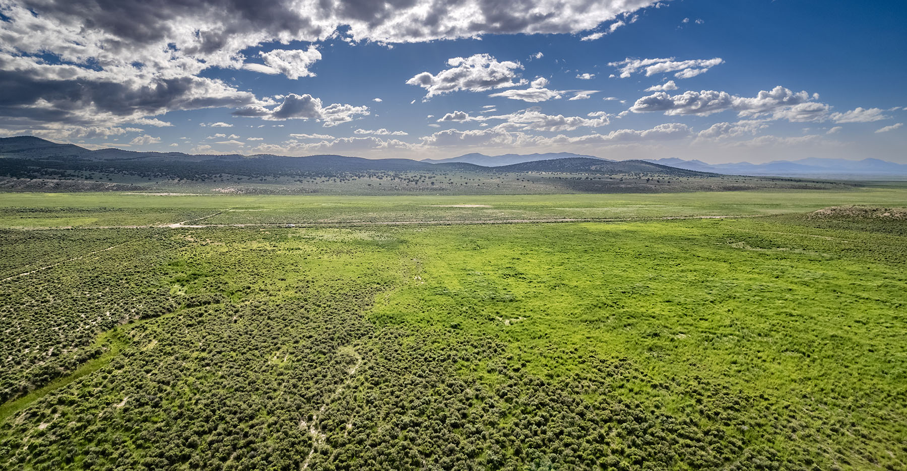 Triangle L Ranch property picture 12 of 40
