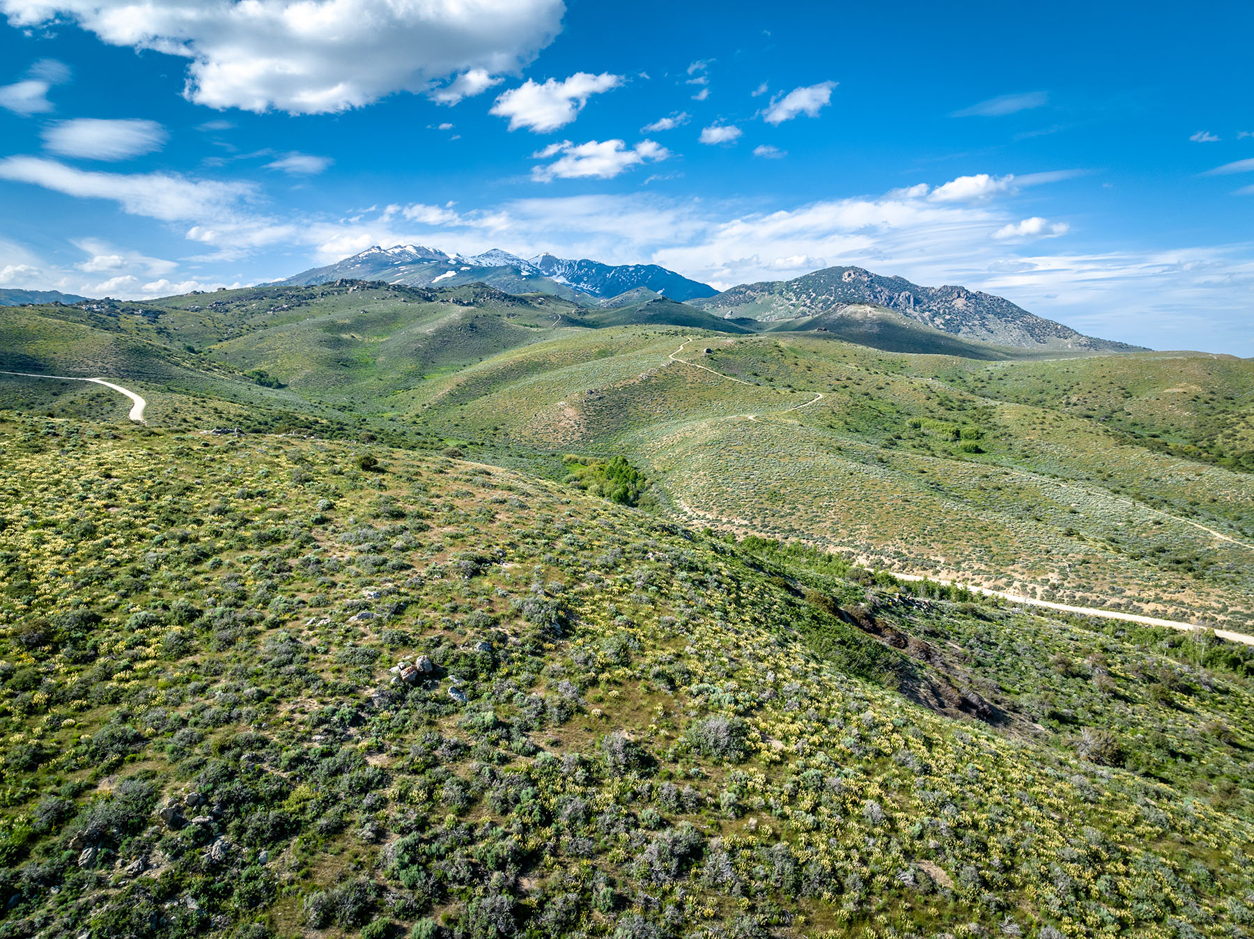 Triangle L Ranch property picture 34 of 40