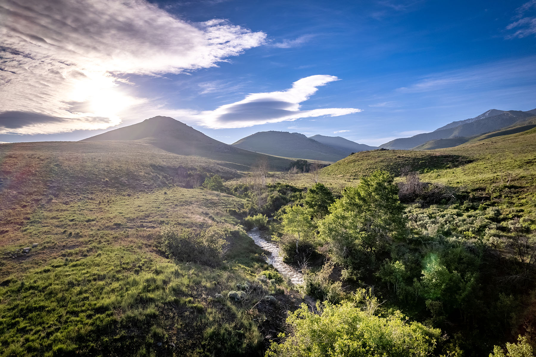 Triangle L Ranch property picture 10 of 40