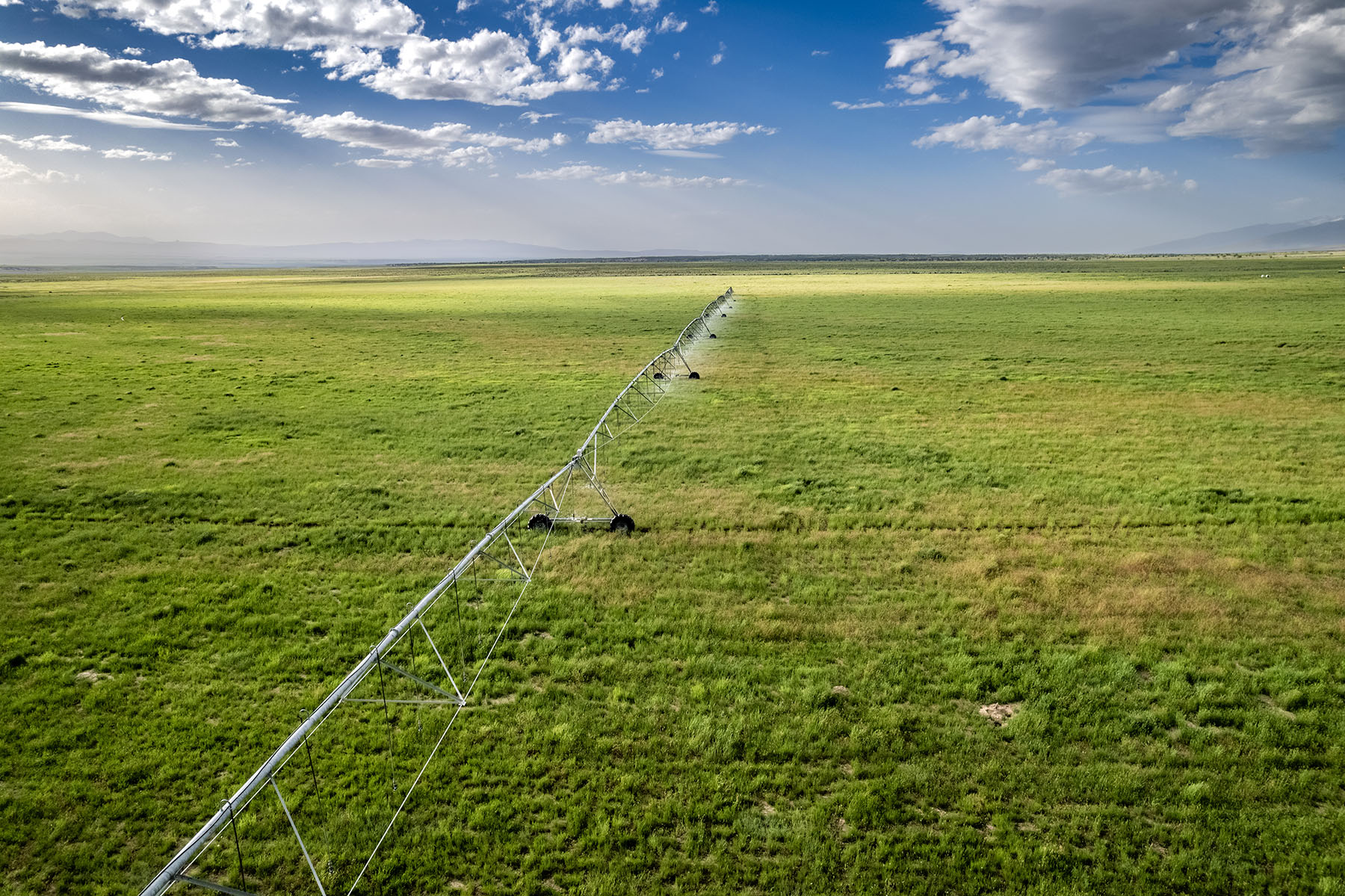 Triangle L Ranch property picture 4 of 40