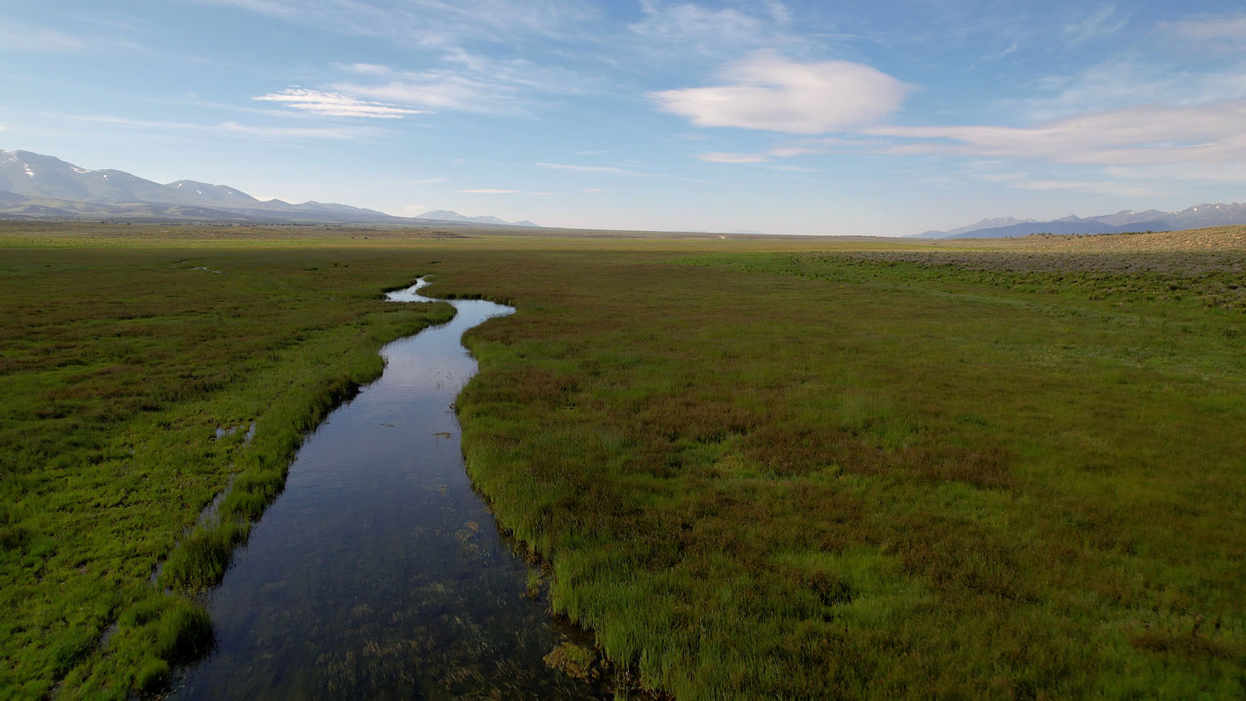 Triangle L Ranch property picture 6 of 40