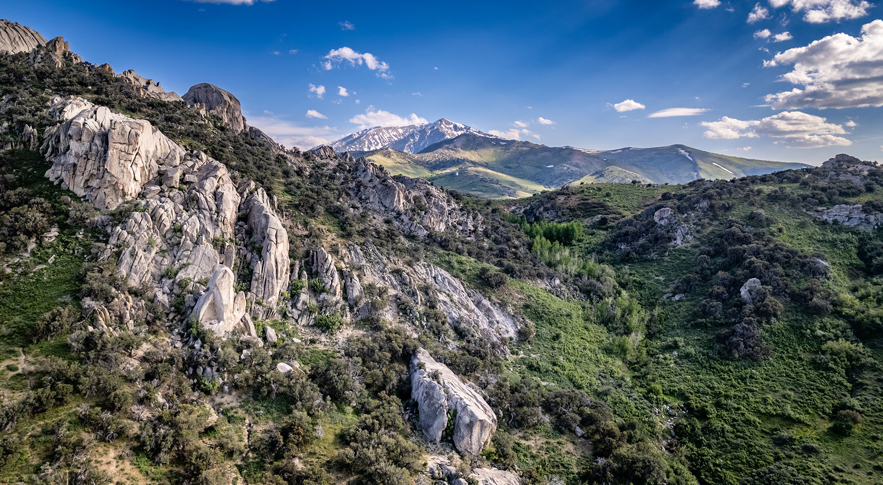 Triangle L Ranch property picture 16 of 40
