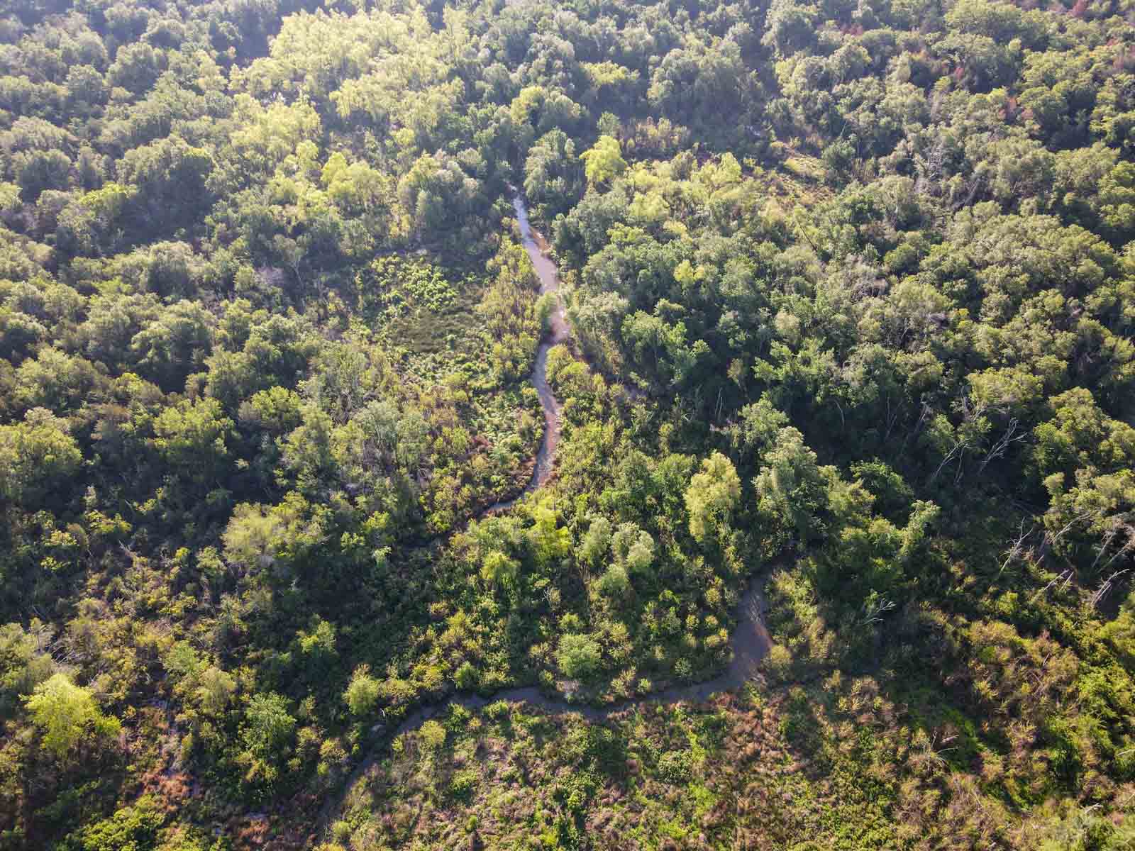 Claybank 112 For Sale Texas Hall and Hall