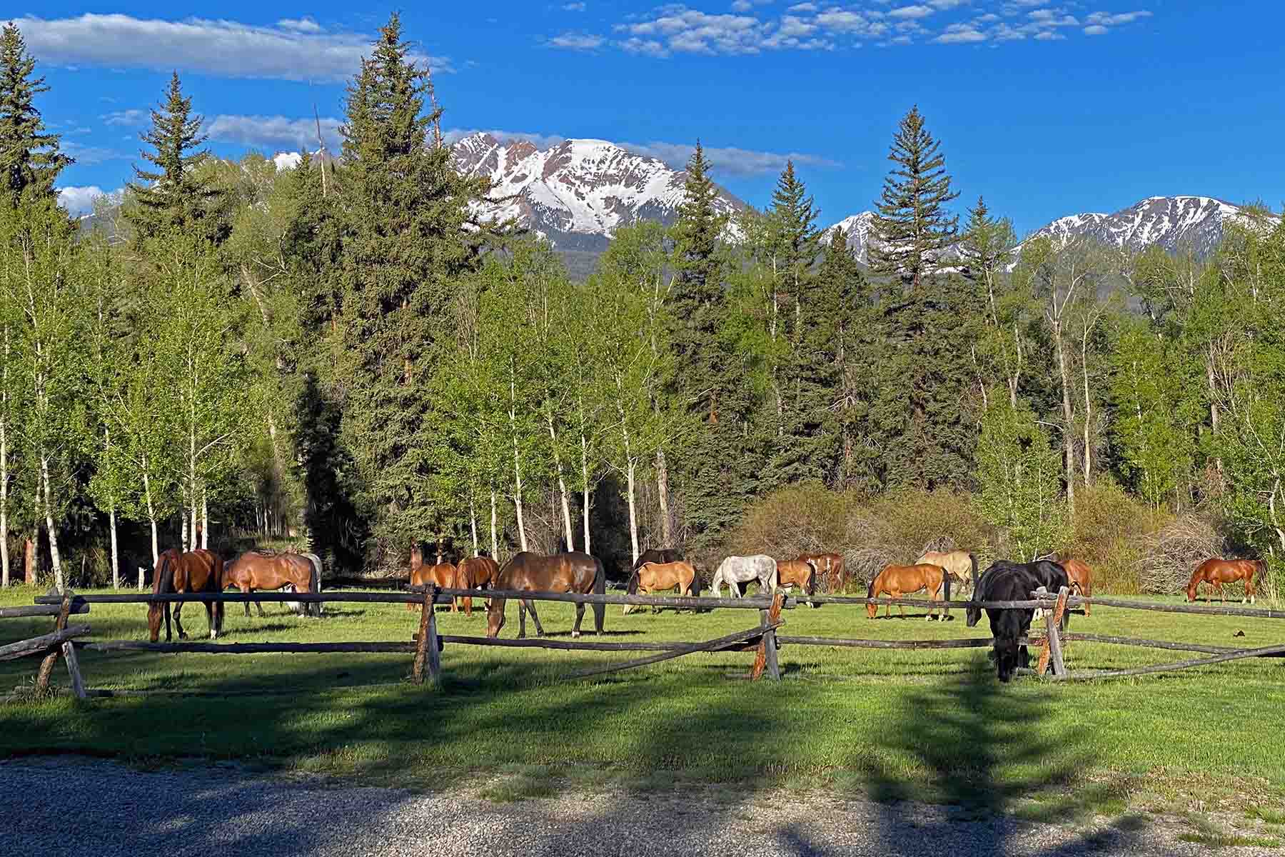 Pass Creek Ranch property picture 37 of 87
