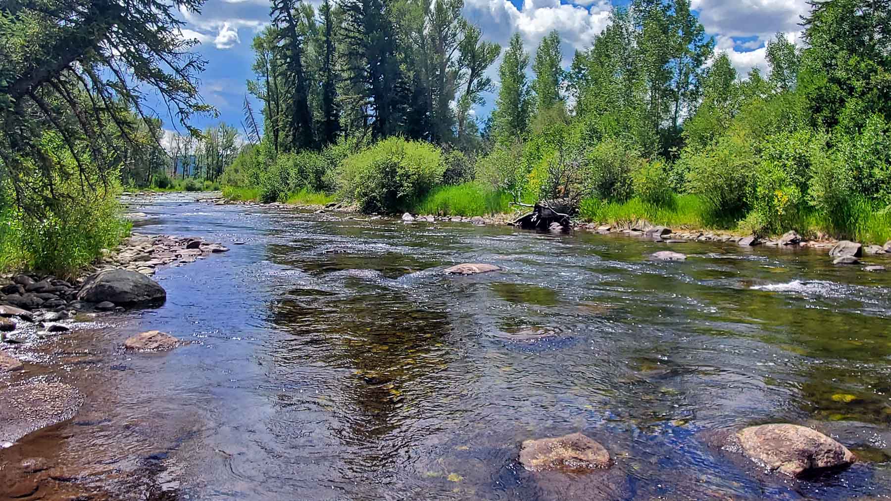 Pass Creek Ranch property picture 29 of 87