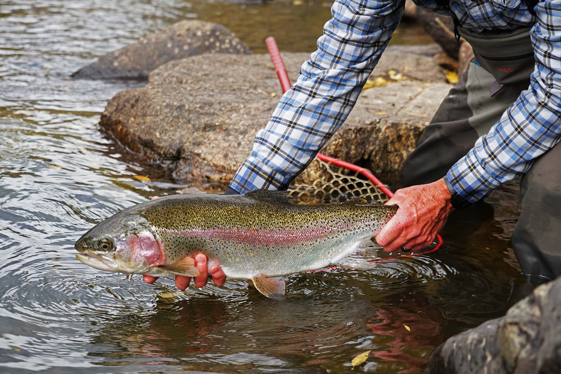 Pass Creek Ranch property picture 8 of 87