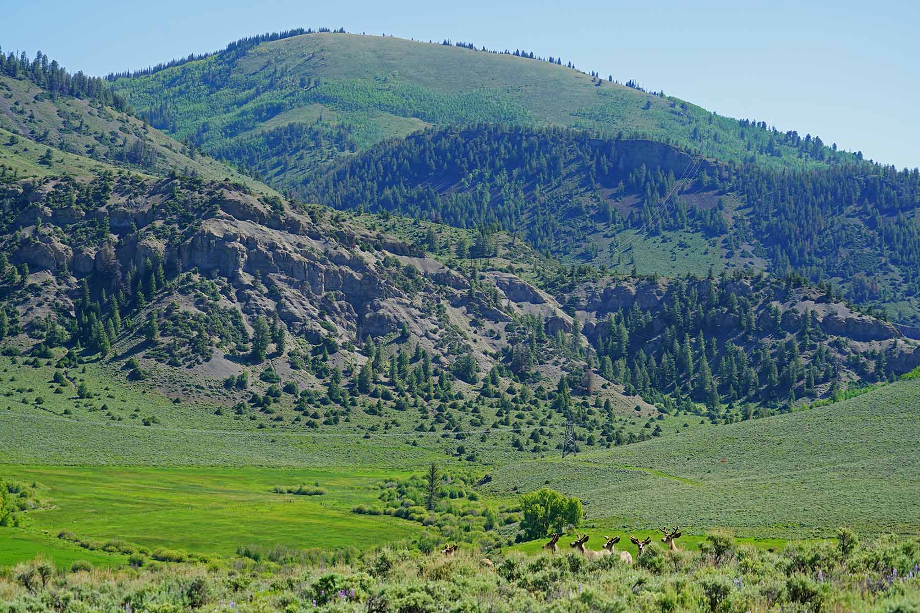 Pass Creek Ranch property picture 38 of 87