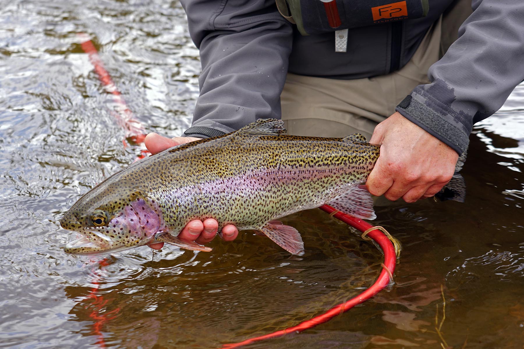 Pass Creek Ranch property picture 68 of 87