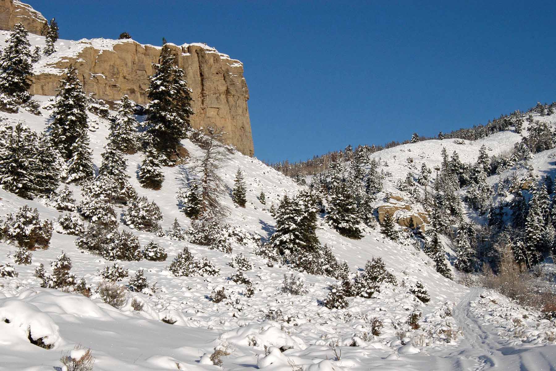 Pass Creek Ranch property picture 53 of 87