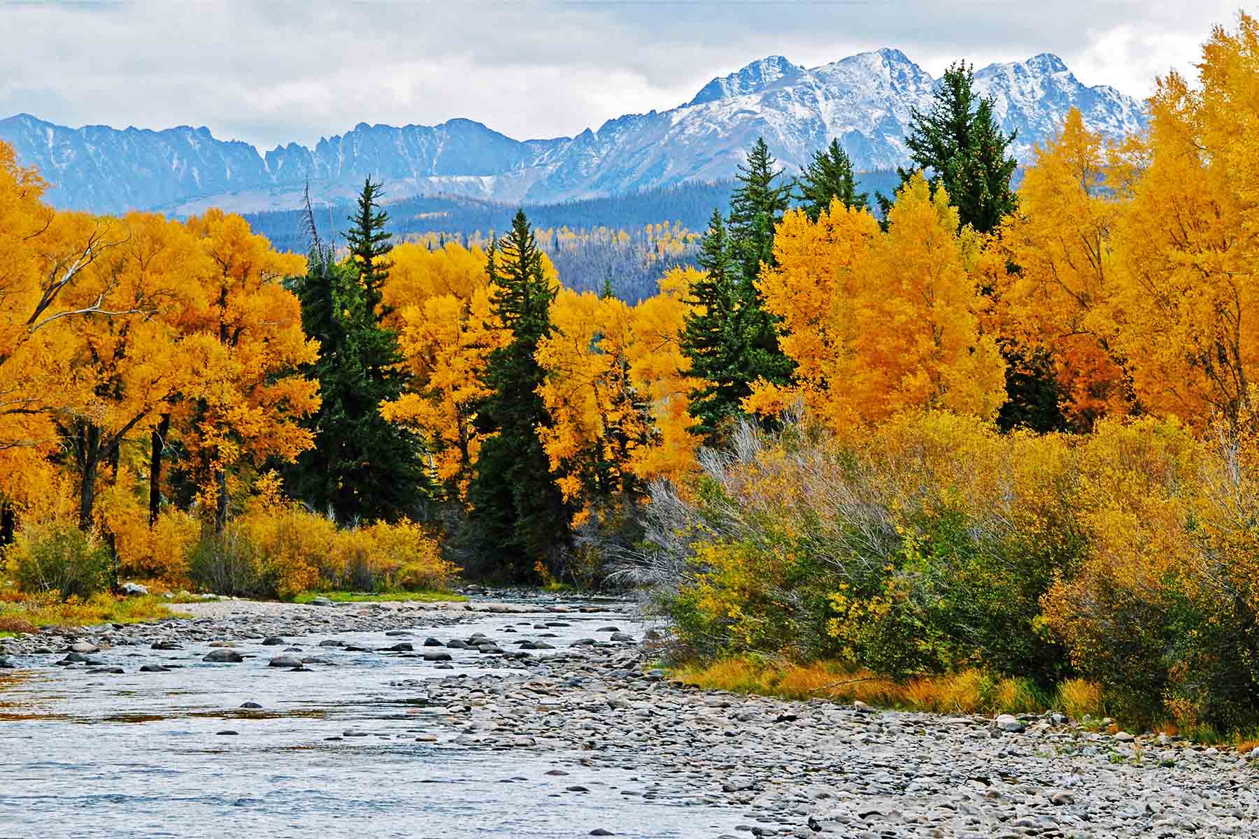 Pass Creek Ranch property picture 10 of 87